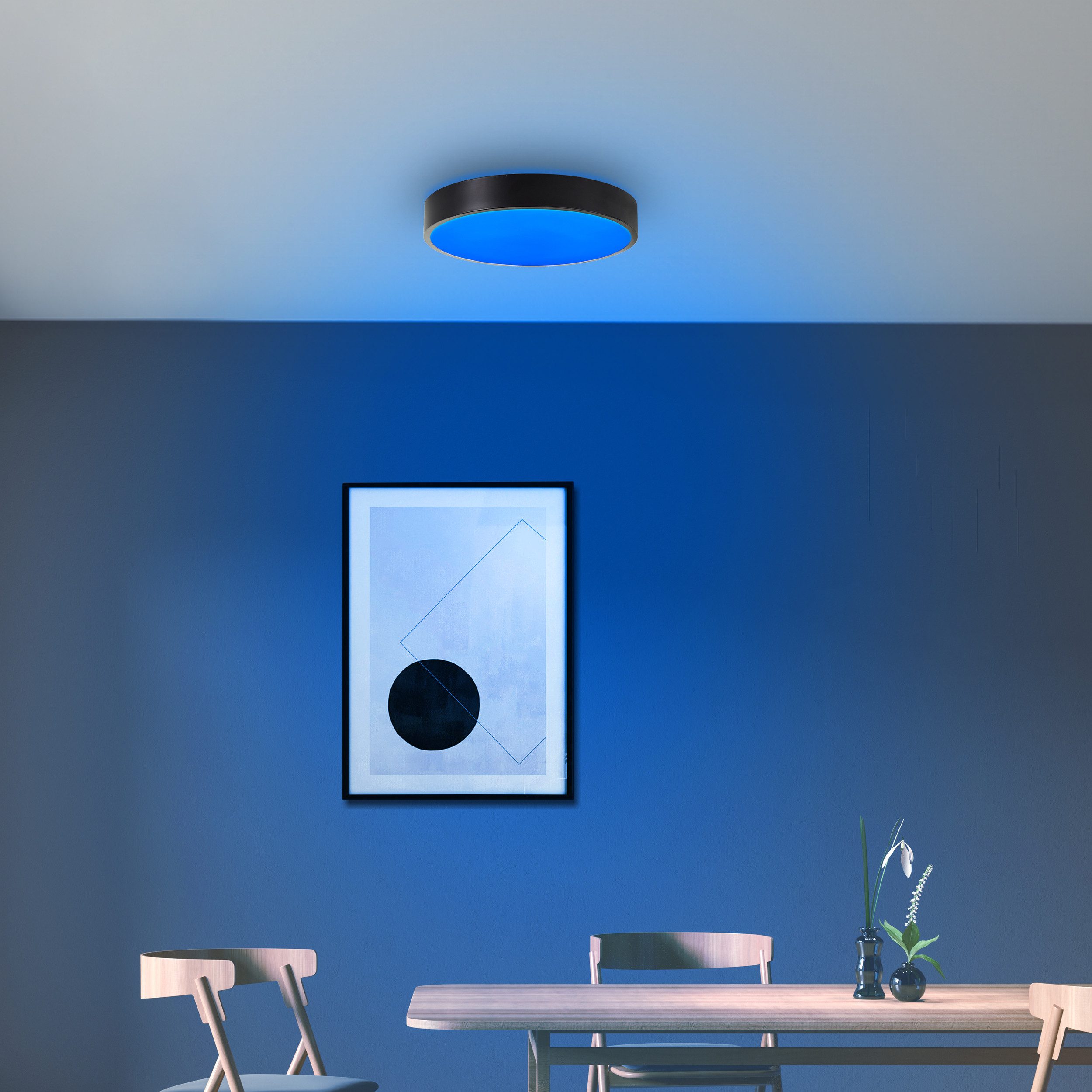 Brilliant Leuchten Led-plafondlamp VADIN Tuya app bestuurbaar, 33 cm, RGB, 2300 lm, dimbaar, 3000-6500 K, zwart