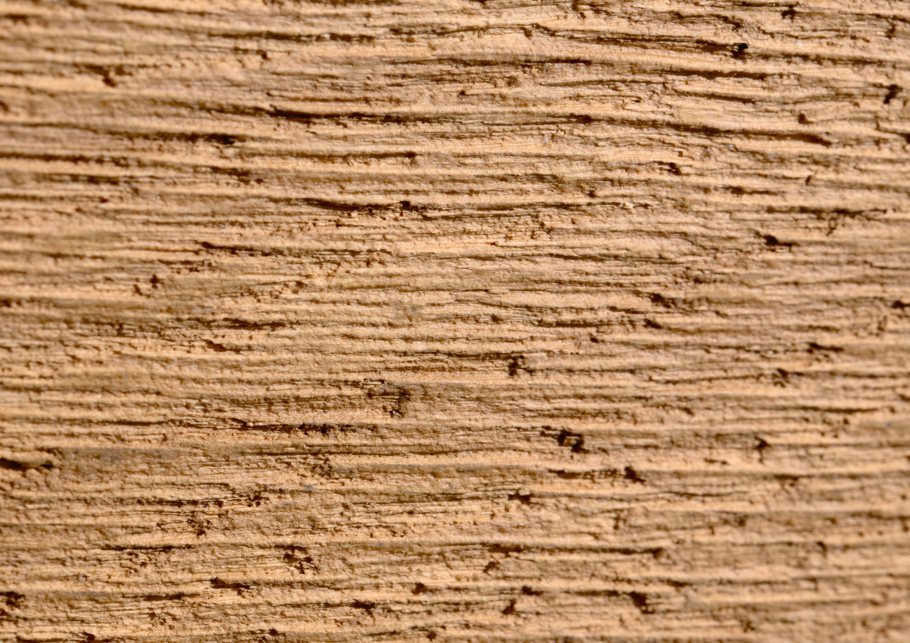 rauch Schuifdeurkast Kledingkast Kast Garderobe Slaapkamerkast MALVA Buikband afgewerkt in geborsteld eikenfineer MADE IN GERMANY