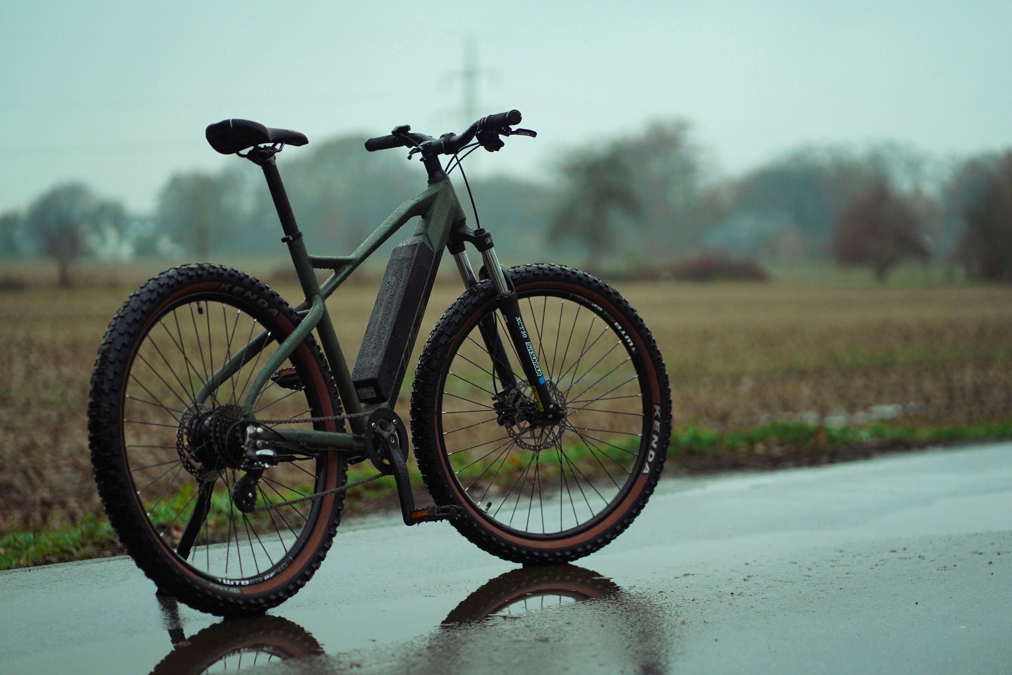 Prophete E-bike DICE 1.0 Pedelec, elektrische fiets voor dames en heren, MTB