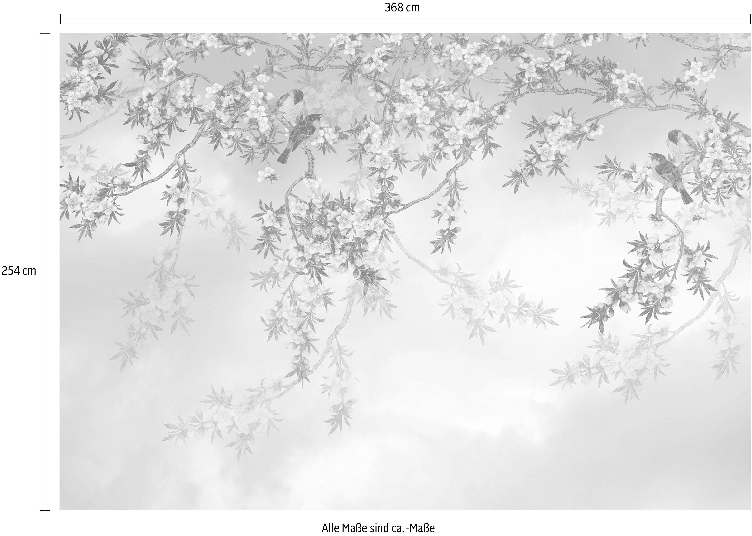 Komar Fotobehang Sakura - Afmeting 368 x 254 cm (set)