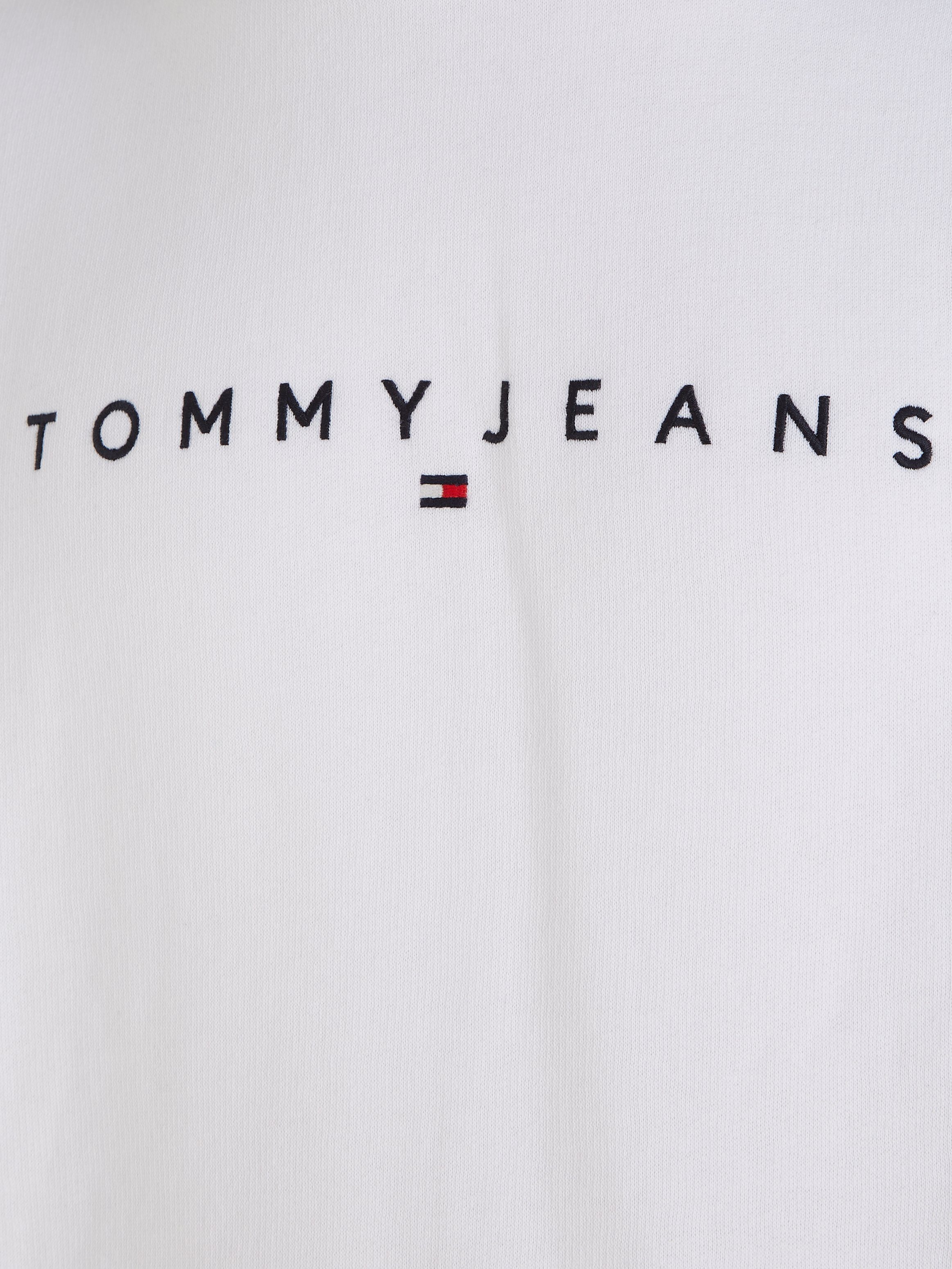 TOMMY JEANS Hoodie TJM REG LINEAR LOGO HOODIE EXT