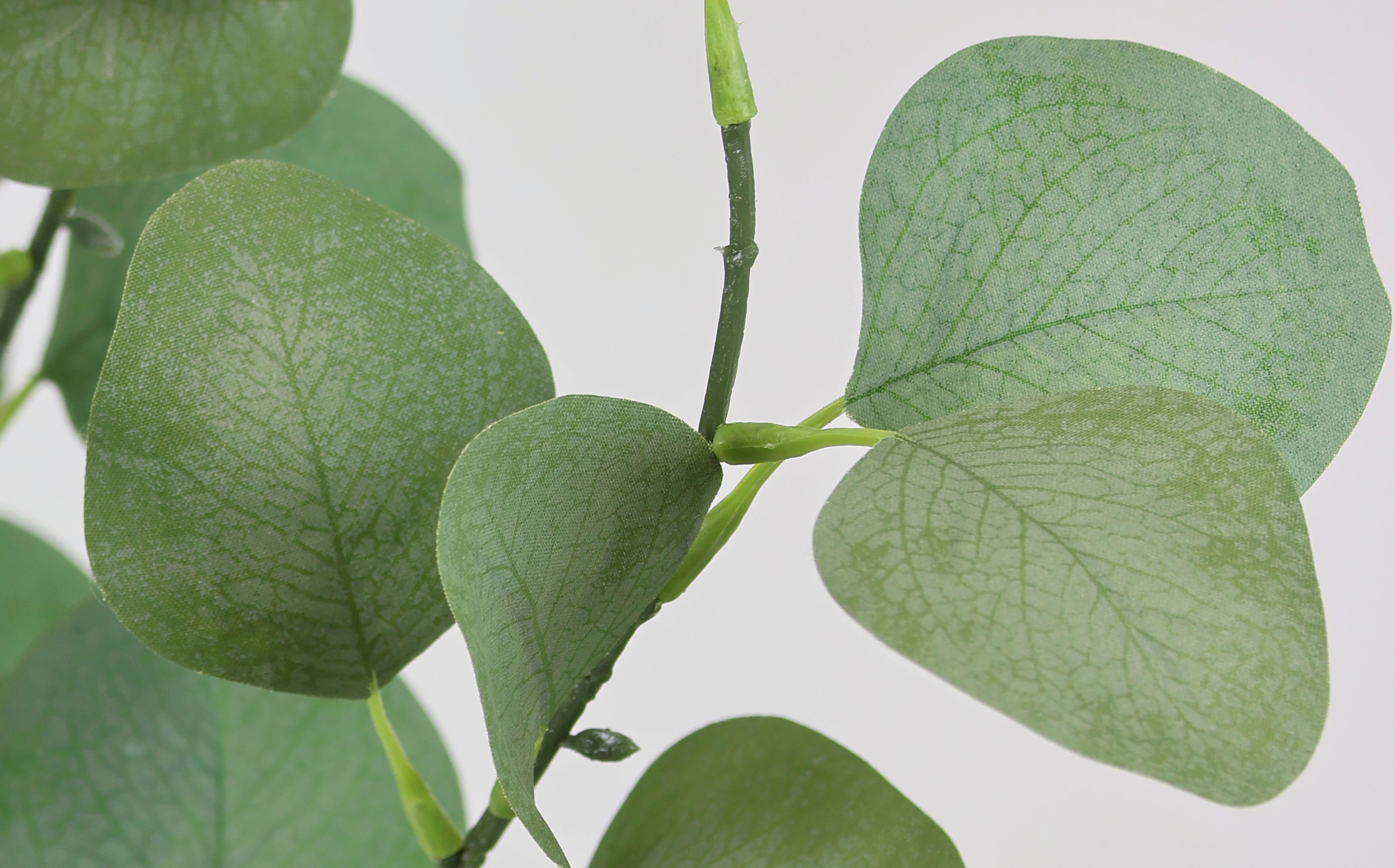 I.GE.A. Kunstplant Kunstboom eucalyptus in pot plant decoratie struik Kunstbloem, kunst, groene planten, zilver dollar bladeren (1 stuk)