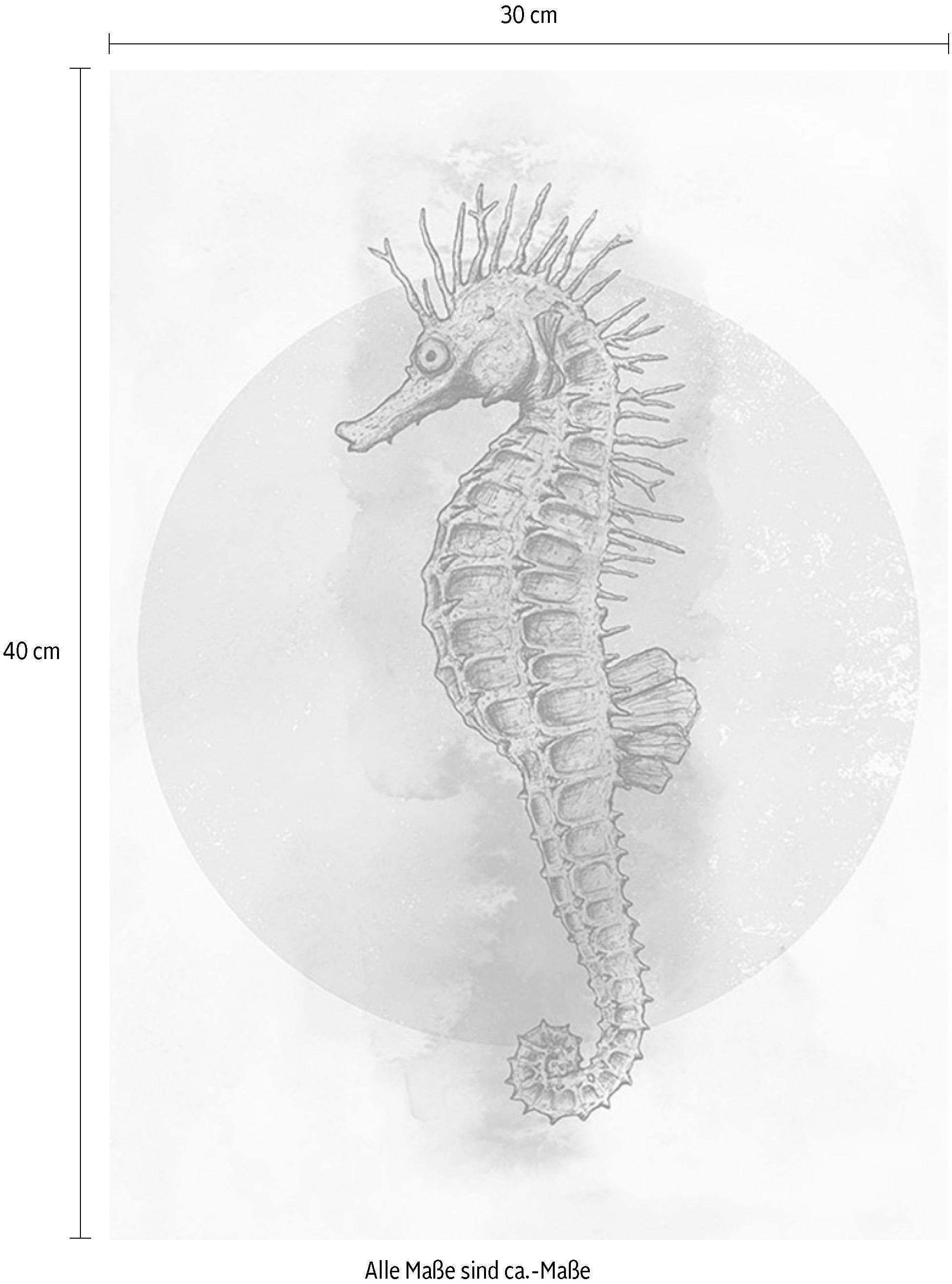 Komar Wanddecoratie Sea Horse Circle Wanddecoratie - zonder lijst (1 stuk)