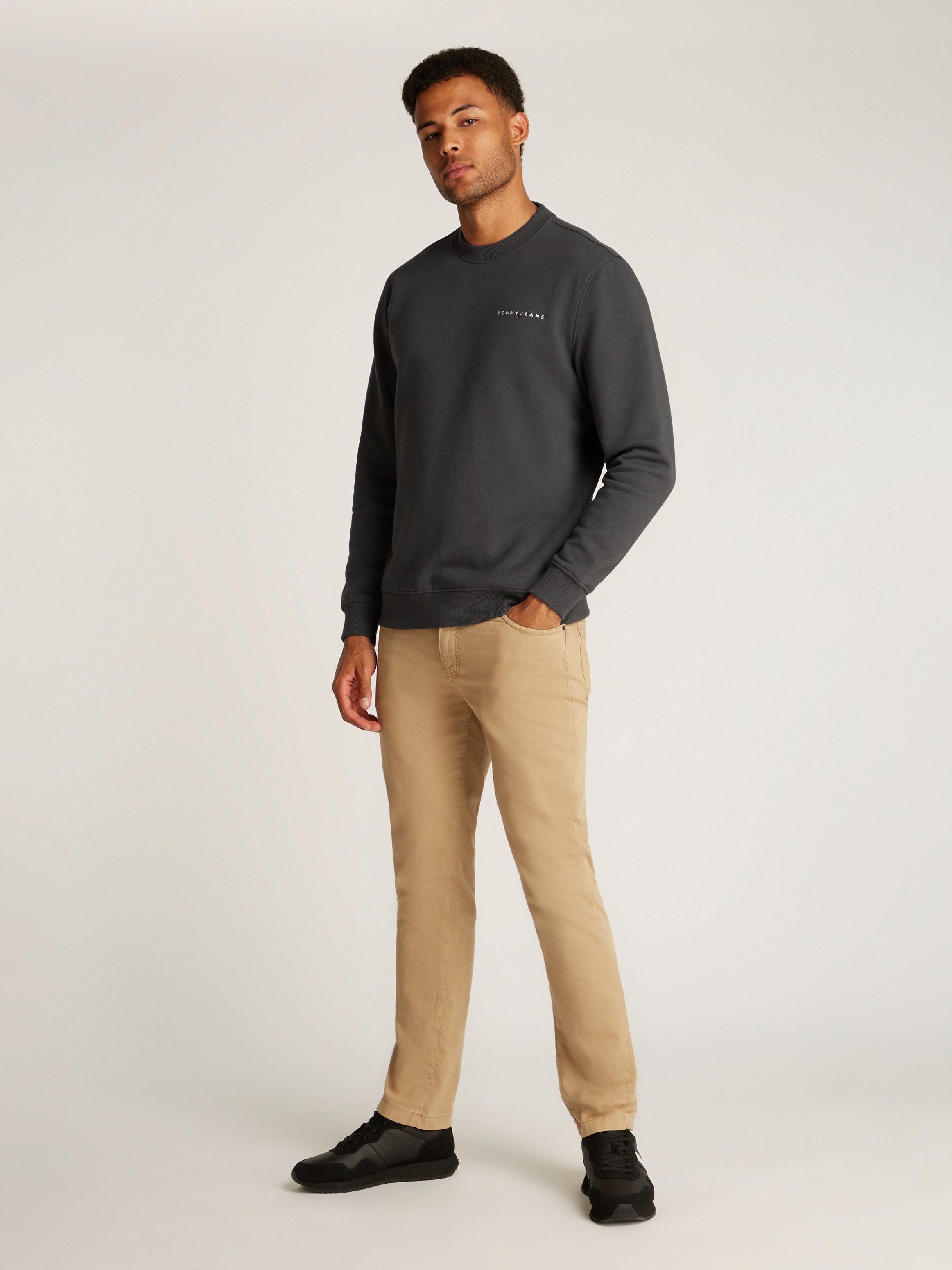 TOMMY JEANS Sweatshirt TJM REG LINEAR CREW EXT