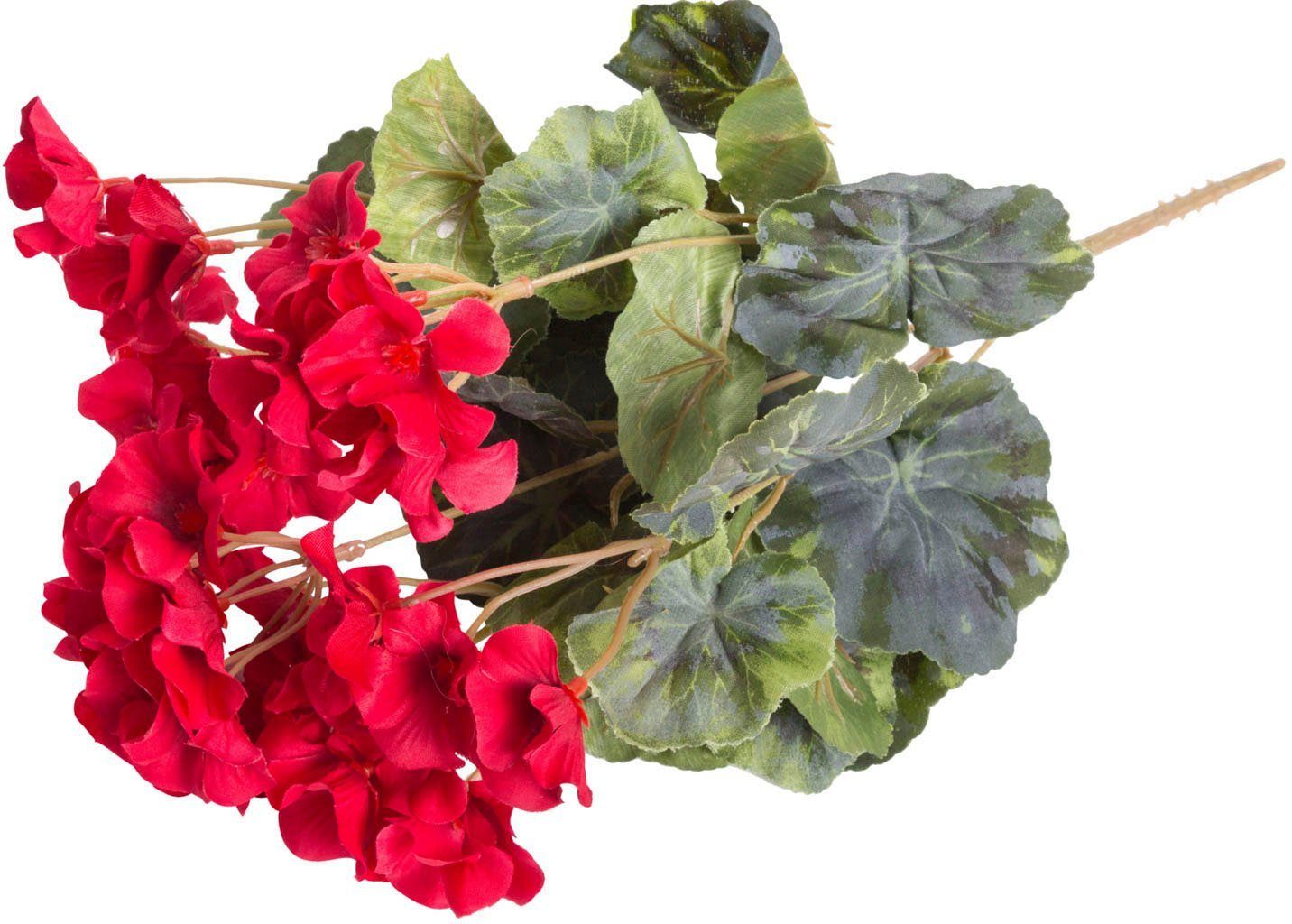 Botanic-Haus Kunstbloem Geraniums (1 stuk)