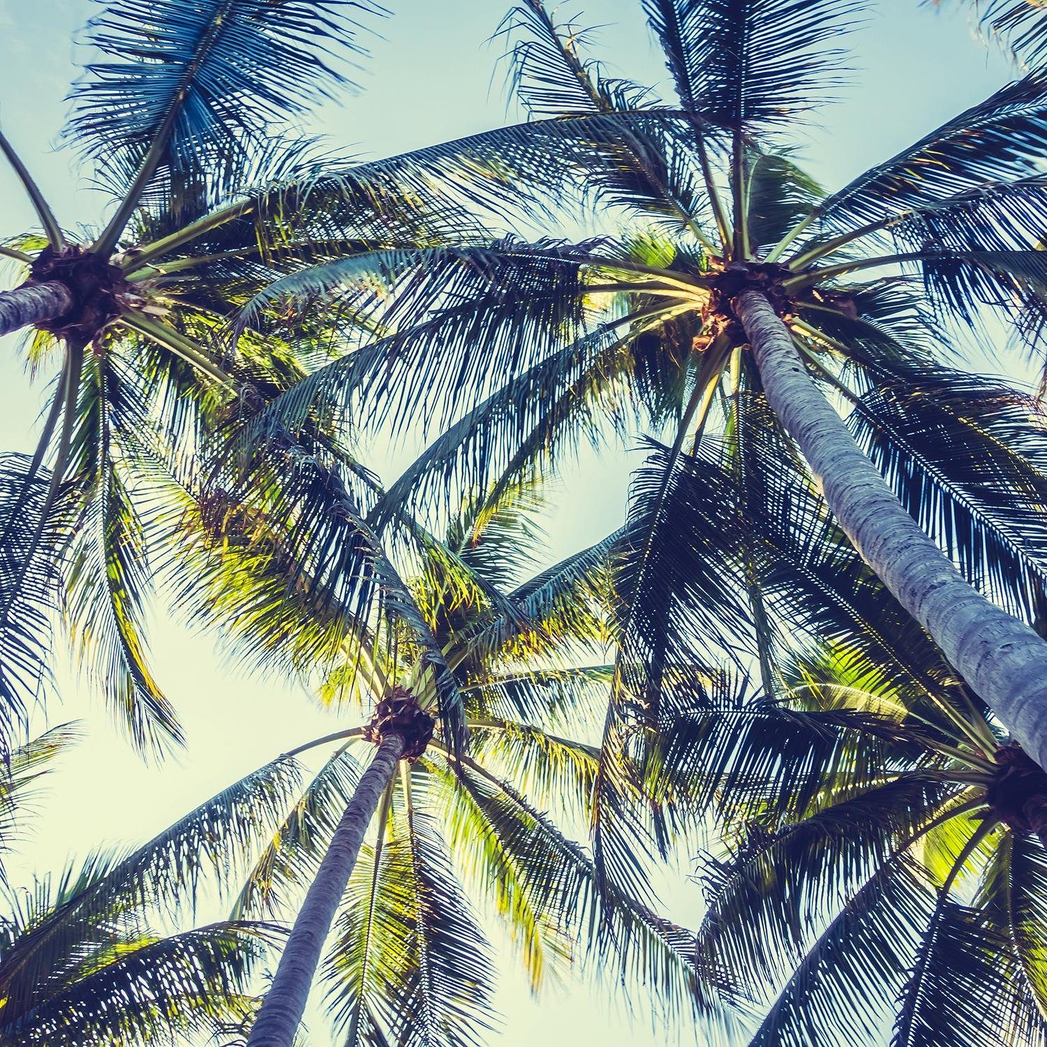 queence Artprint op linnen Miami Premium canvasstof, handgemaakt in Duitsland, 50x50cm foto schilderijen multicolor
