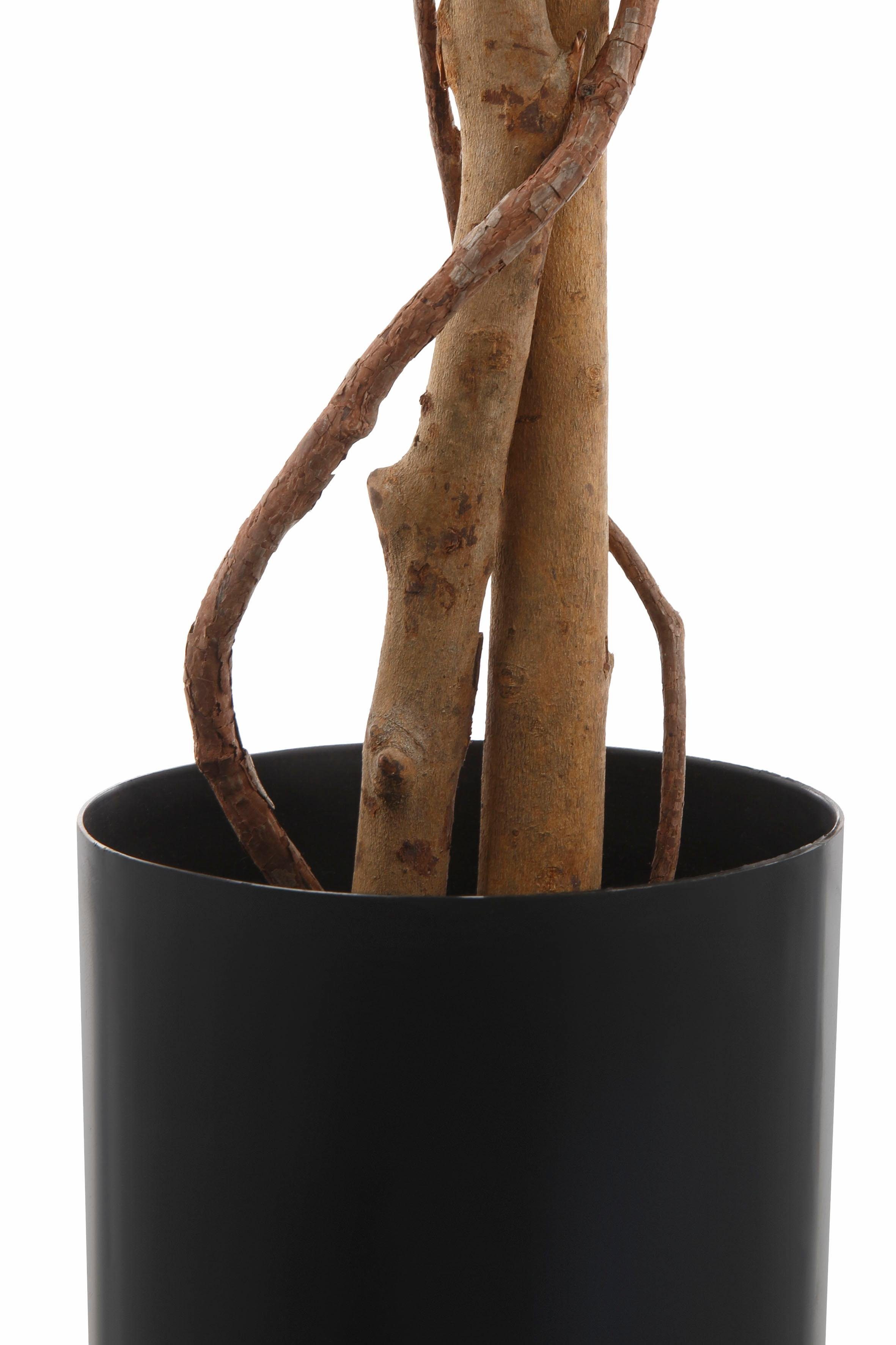 Creativ green Kunstplant Ficus Benjamini (1 stuk)