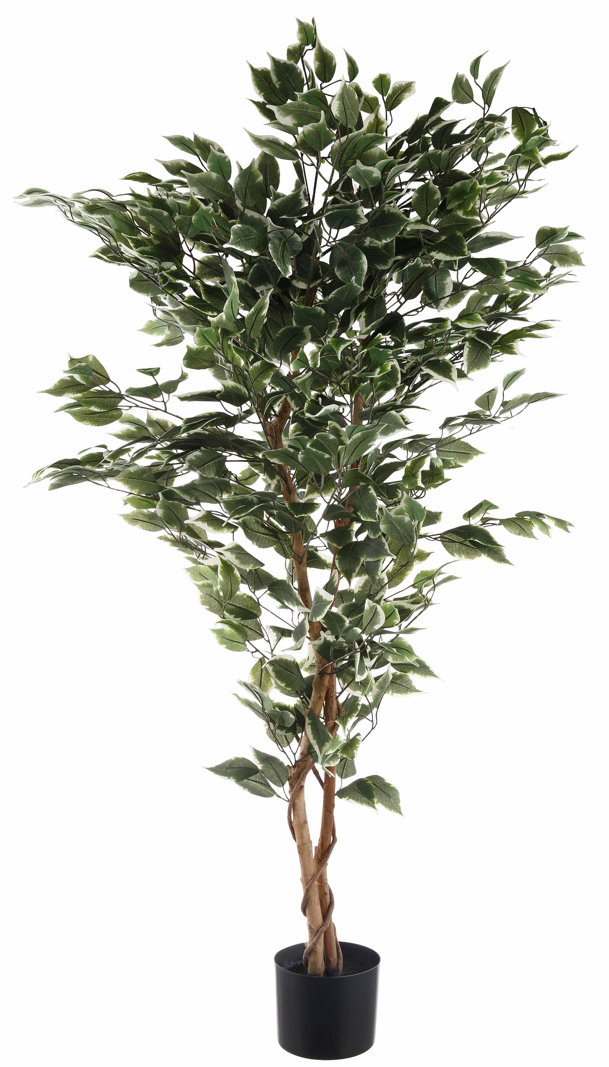 Creativ green Kunstplant Ficus Benjamini (1 stuk)