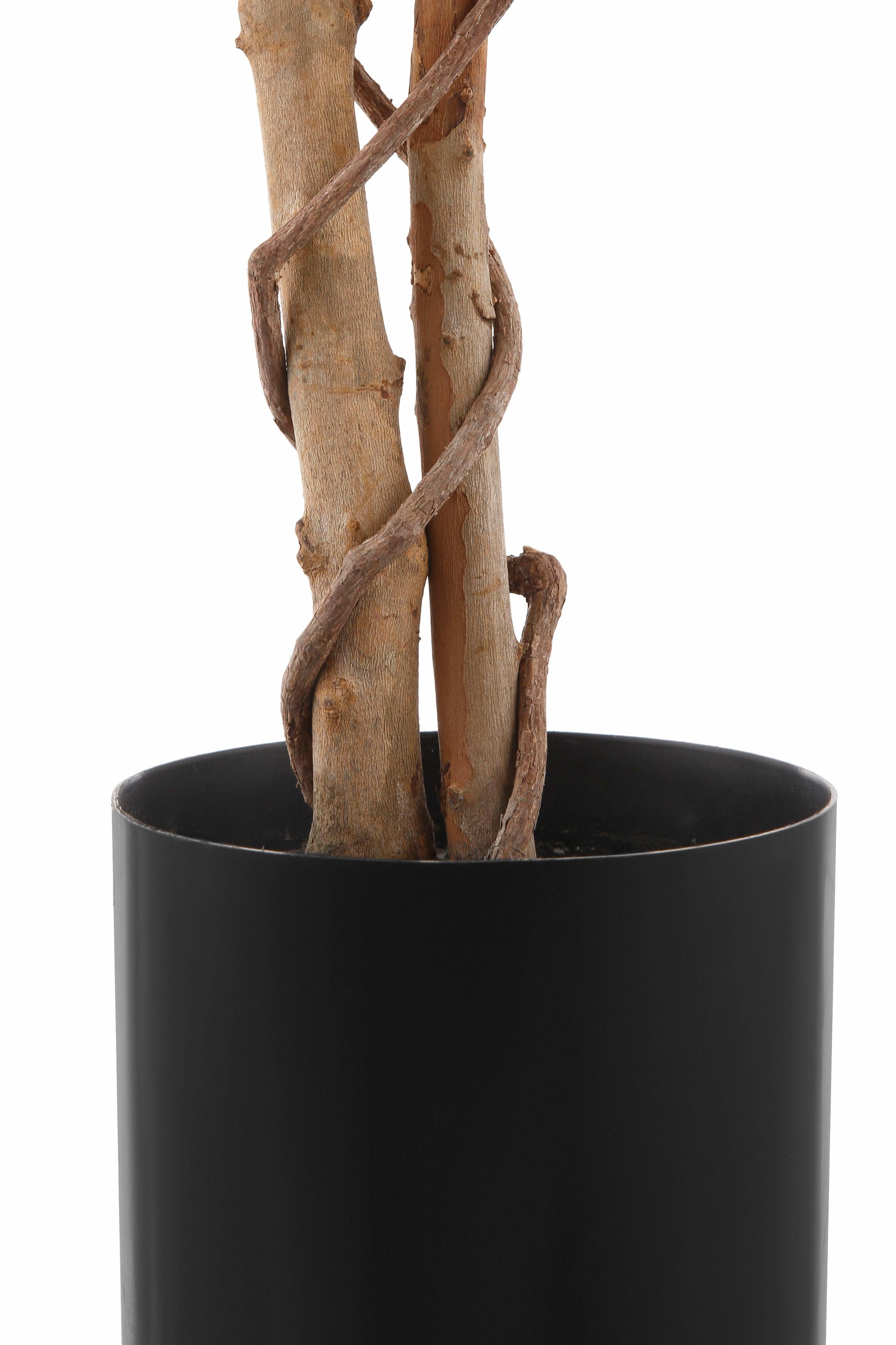 Creativ green Kunstplant Ficus Benjamini (1 stuk)