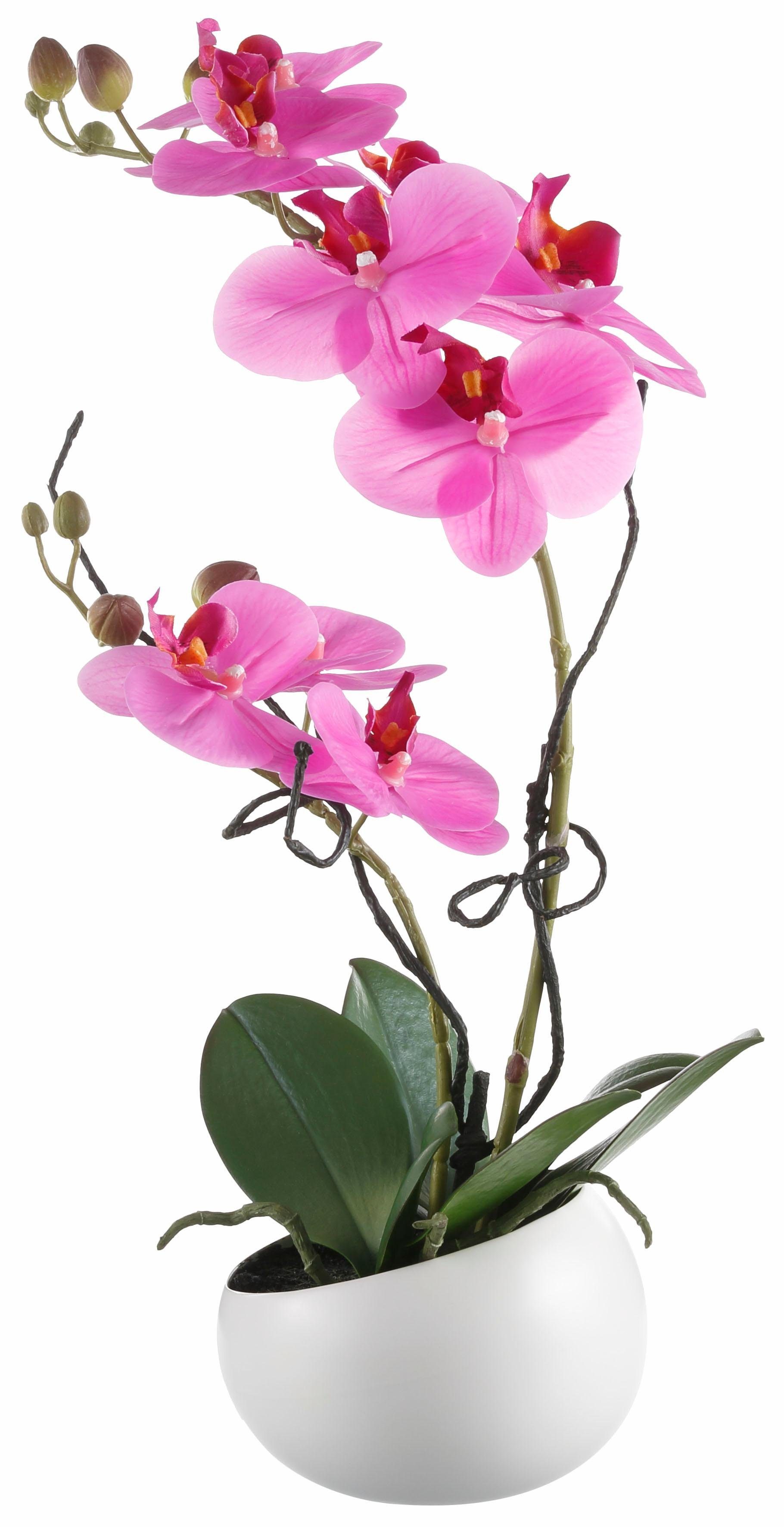 Creativ green Kunstplant Orchidee (1 stuk)