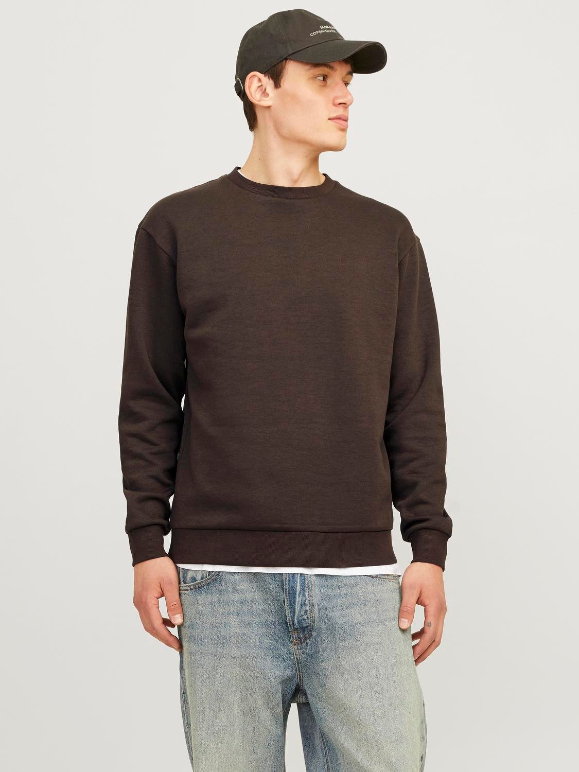 Jack & Jones Sweatshirt JJEBRADLEY SWEAT CREW NOOS