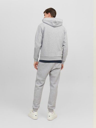 Jack & Jones Capuchonsweatvest JJEBRADLEY SWEAT ZIP HOOD NOOS