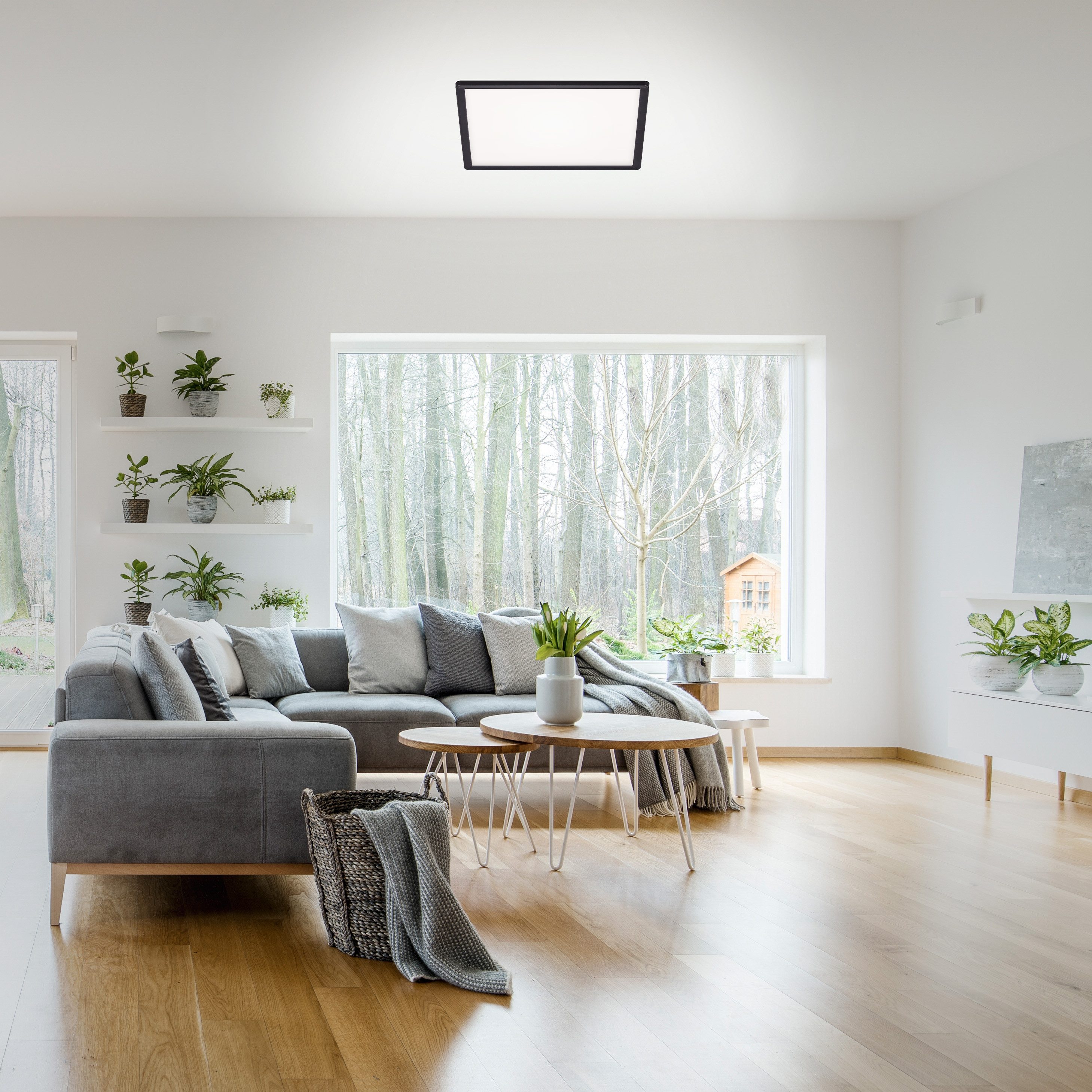 Briloner Leuchten Led-paneel SLIM