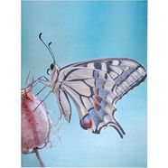 hofmann living and more led-wanddecoratie vlinder 60-80 cm multicolor