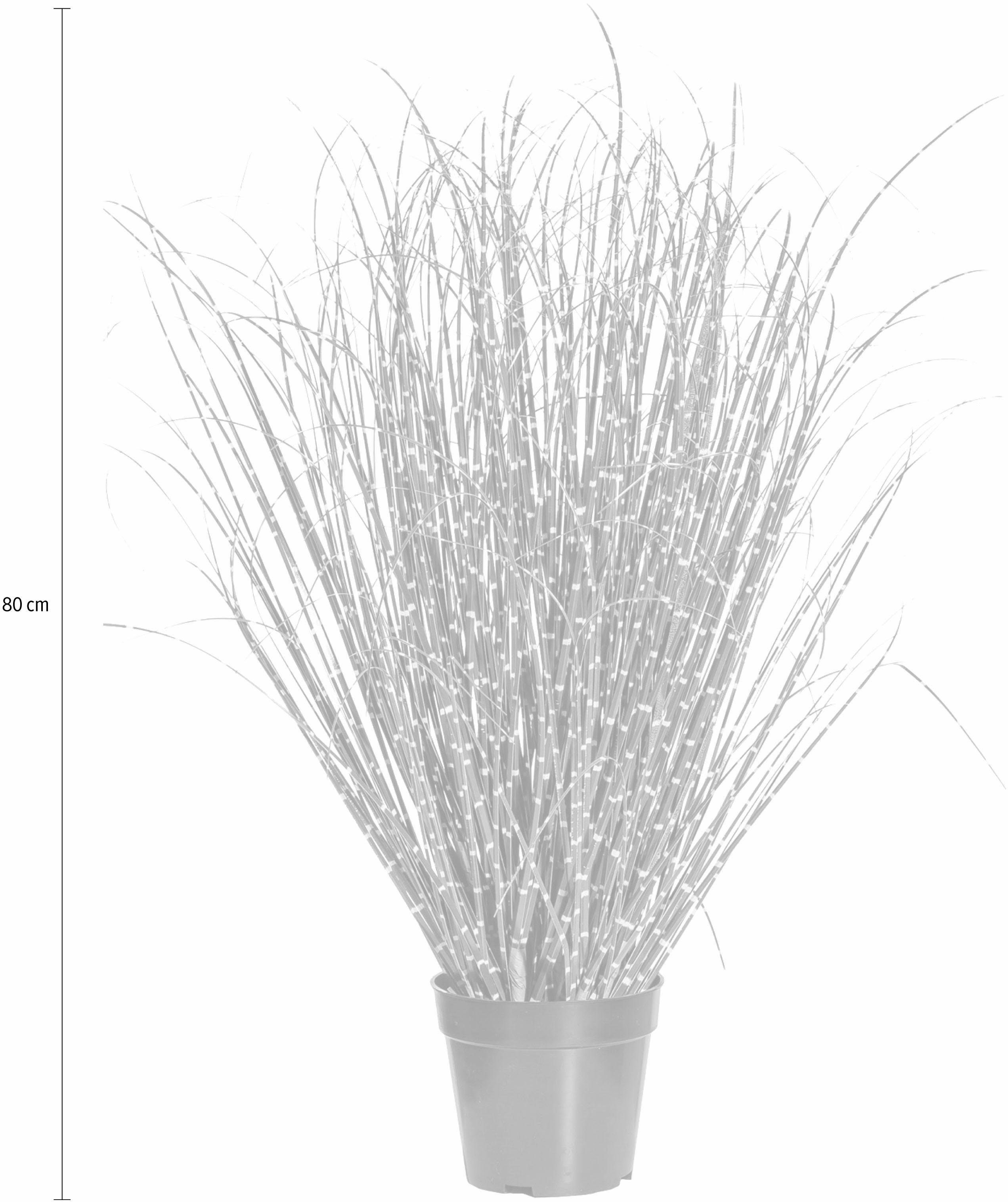 Creativ green Kunstgras Miscanthus Zebrinus (1 stuk)