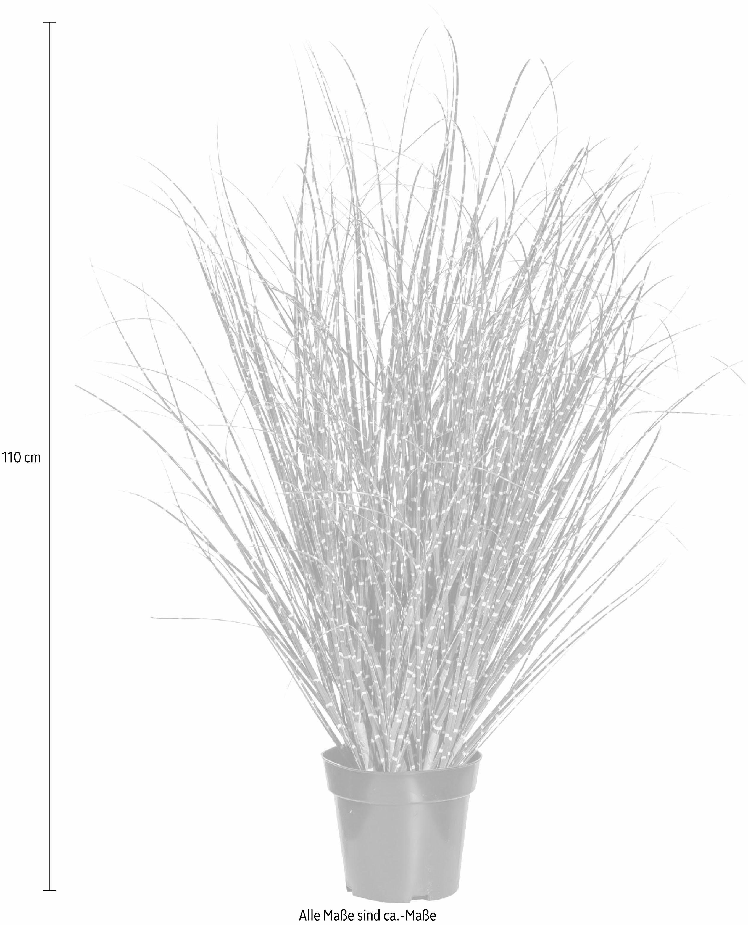 Creativ green Kunstgras Miscanthus Zebrinus (1 stuk)