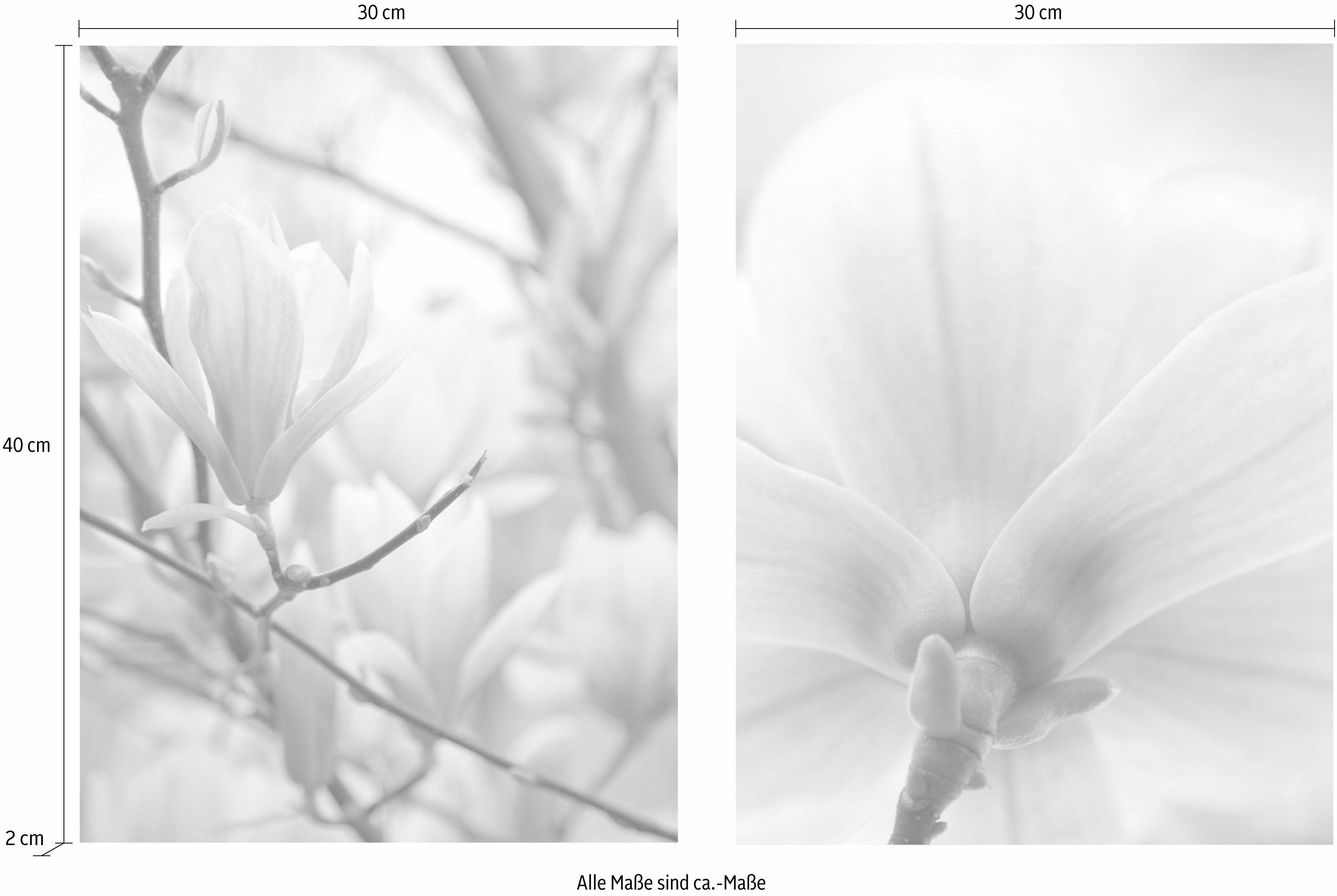 Creativ home Wanddecoratie Magnolia's (set, 2 stuks)
