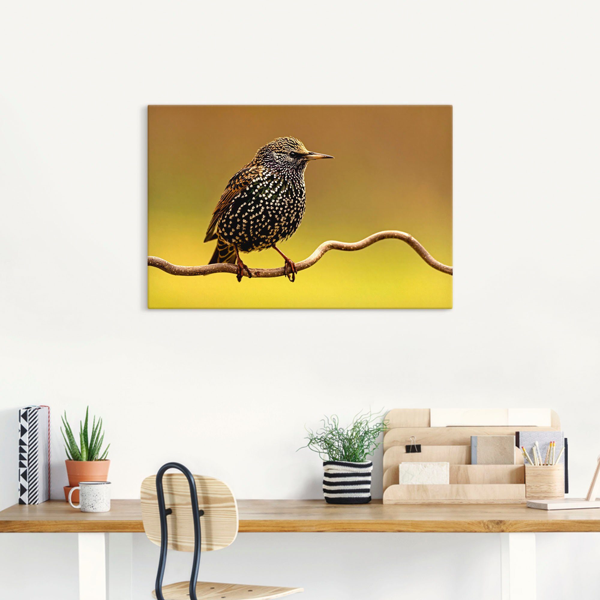 Artland Artprint Star als artprint op linnen, poster in verschillende formaten maten