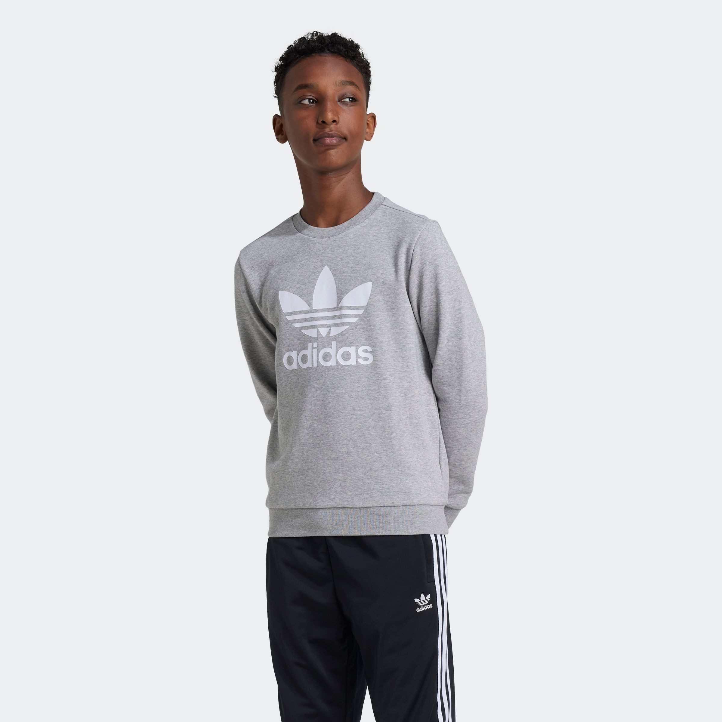 adidas Originals Sweatshirt TREFOIL CREW