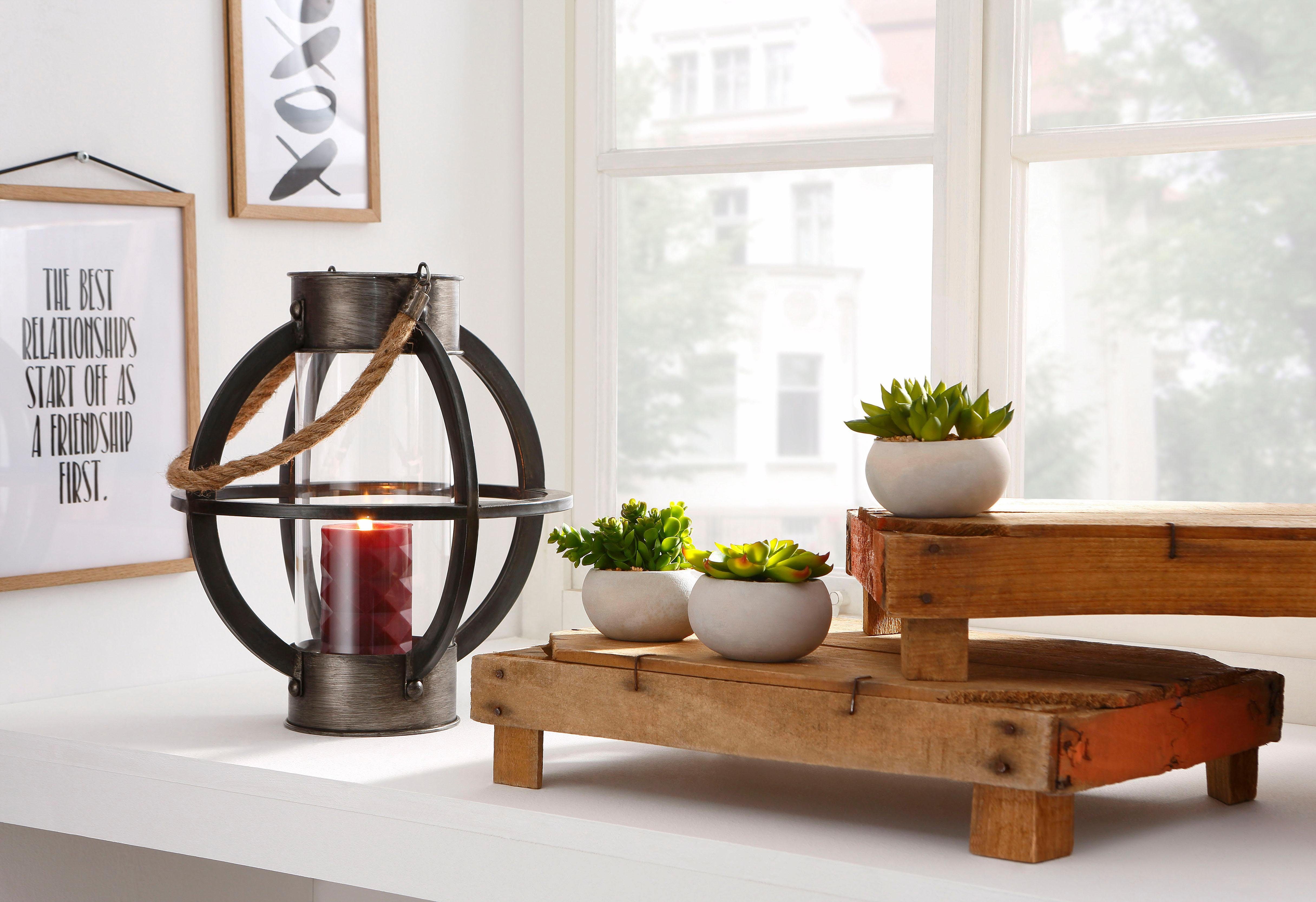 Creativ green Kunstplant Vetplanten (set, 3 stuks)