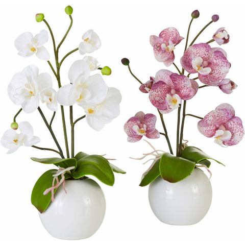 HOME AFFAIRE Kunstbloem Orchidee in set van 2
