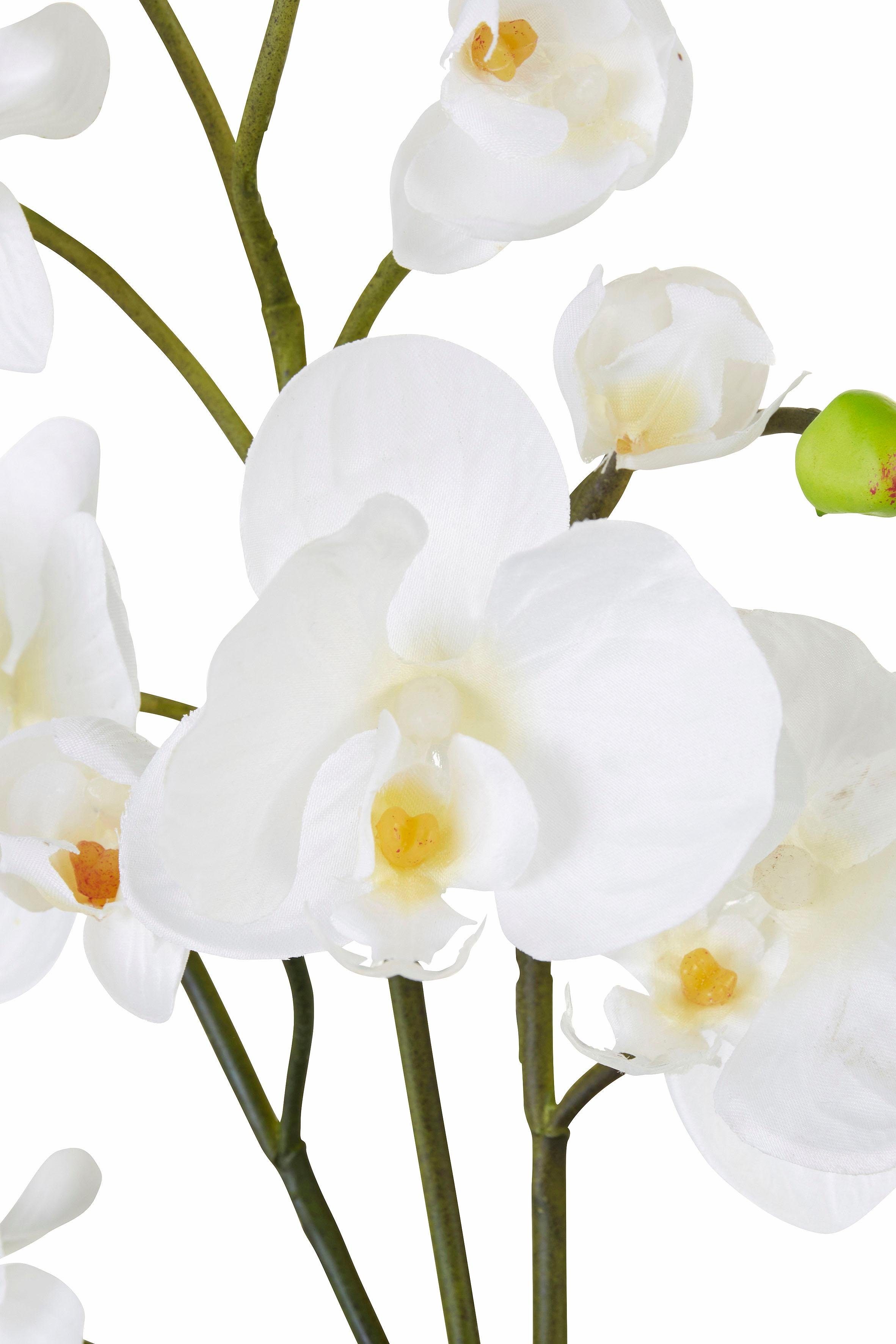 I.GE.A. Kunstplant Orchidee (set, 2 stuks)