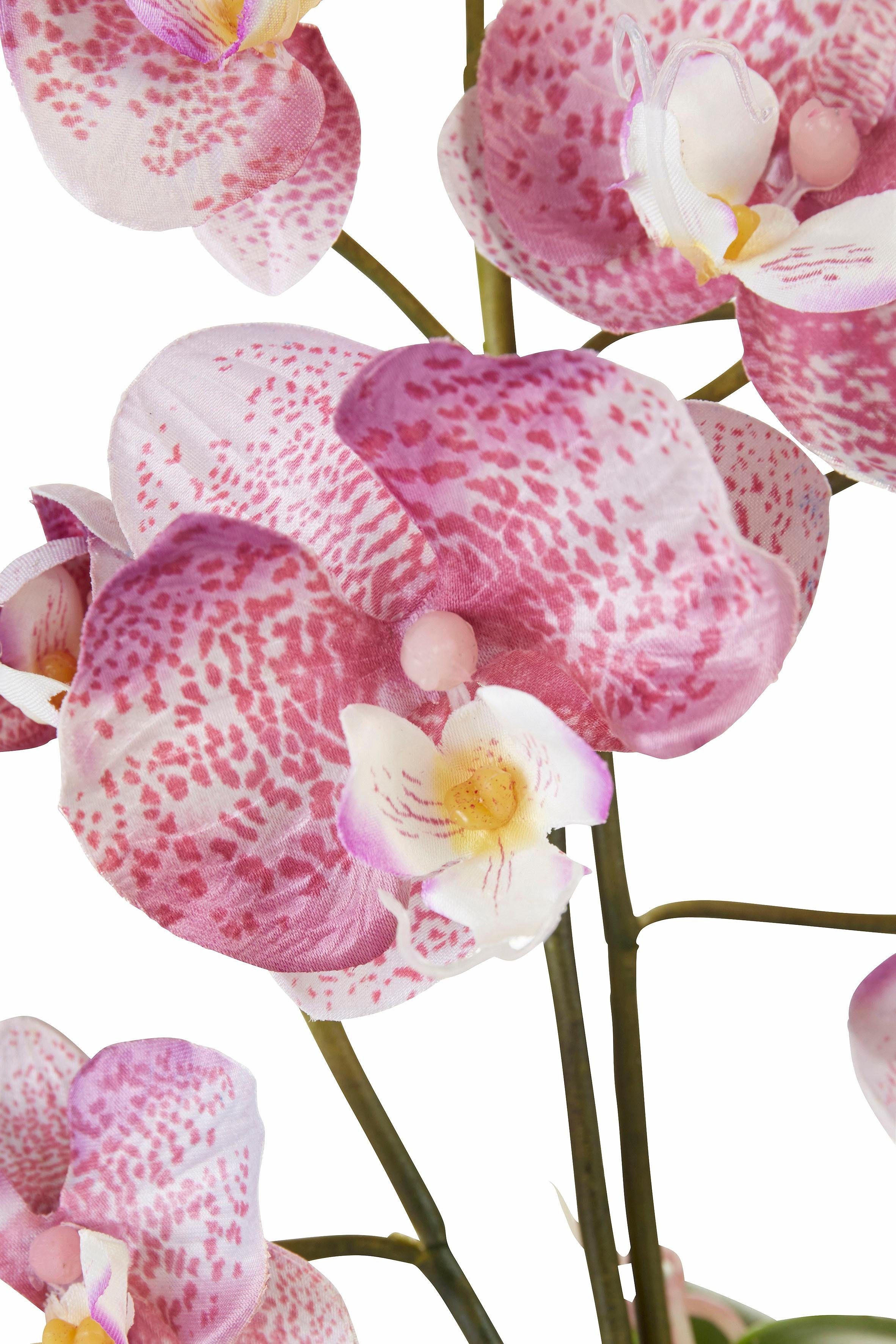 I.GE.A. Kunstplant Orchidee (set, 2 stuks)