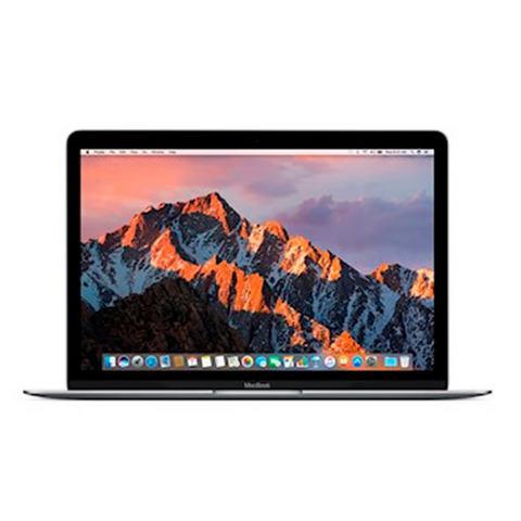 Apple APPLE MacBook 12.0 SPACE GRAY/1.2GHZ/8GB/256GB