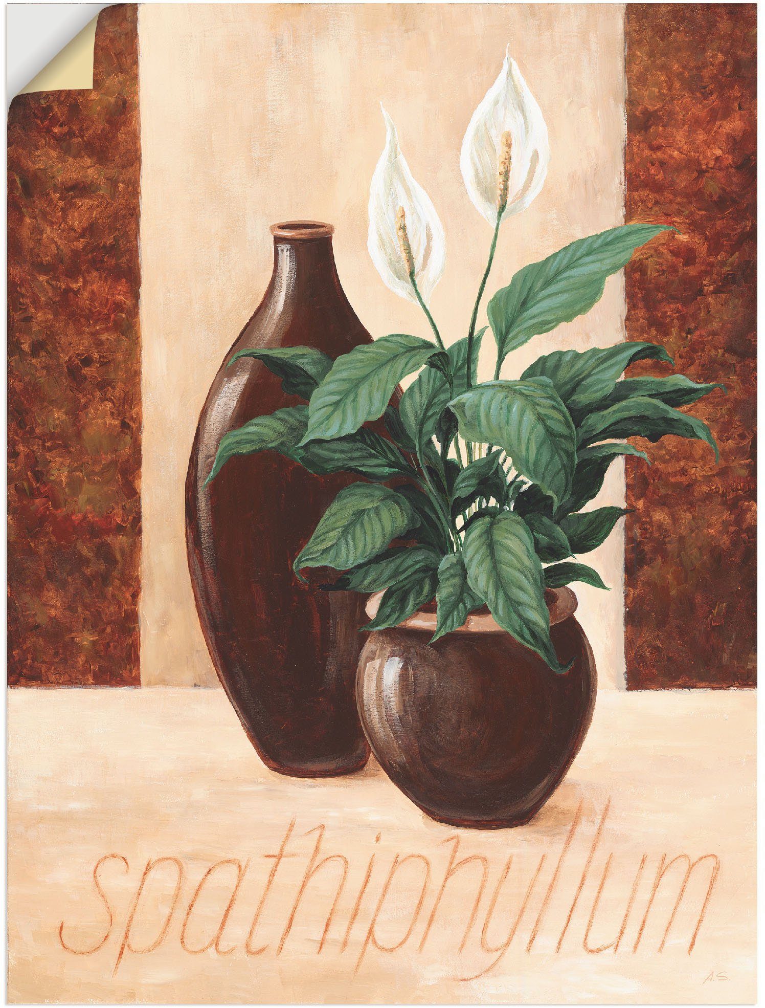 Artland Artprint Spathiphyllum - Einblatt in vele afmetingen & productsoorten - artprint van aluminium / artprint voor buiten, artprint op linnen, poster, muursticker / wandfolie o