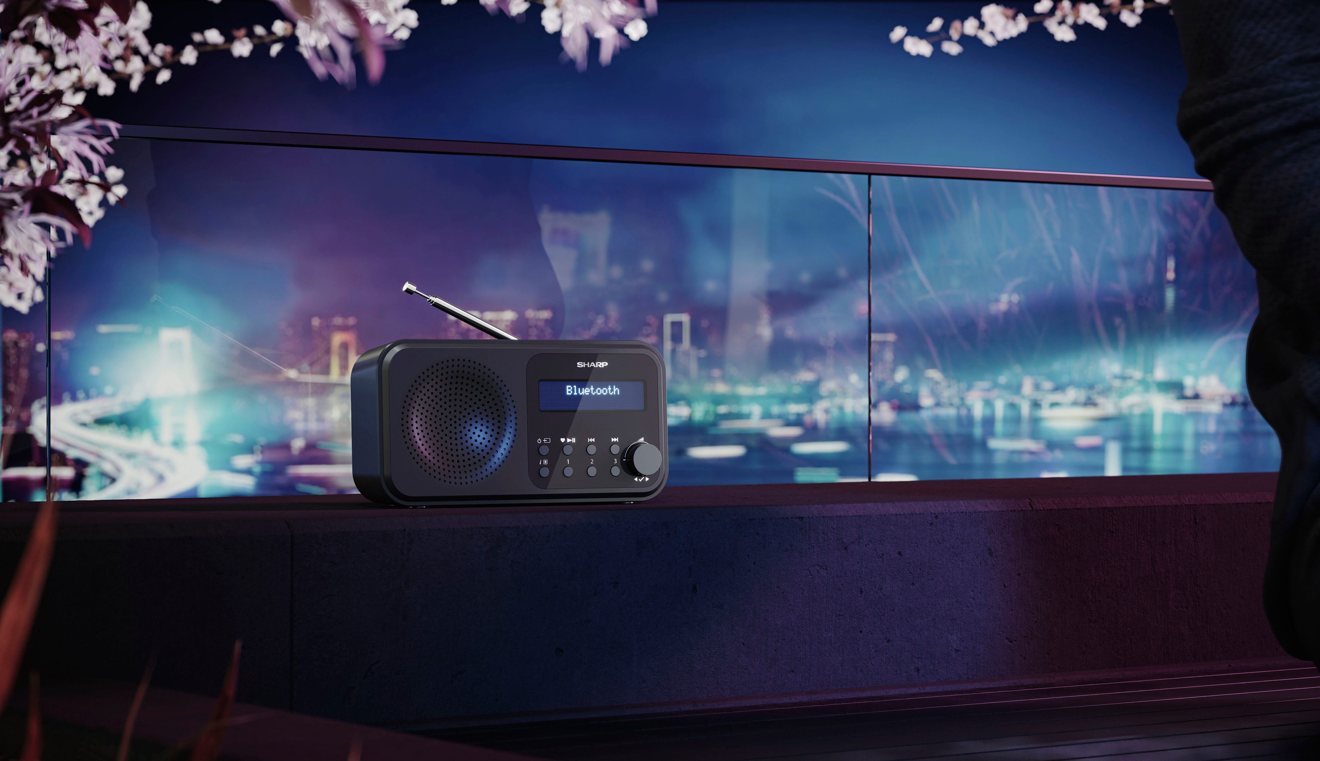 Sharp Radio DR-P420