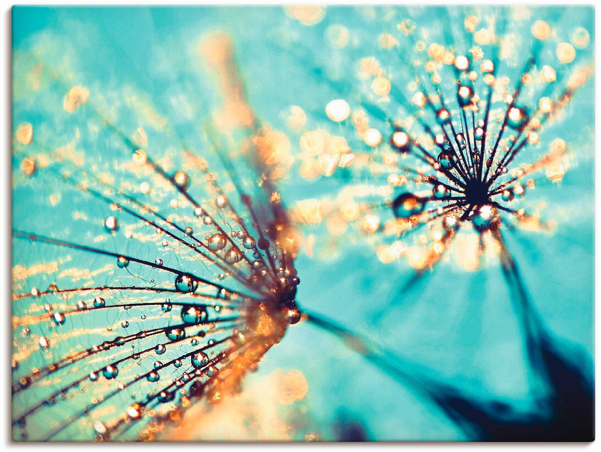 Artland artprint Pusteblume aqua