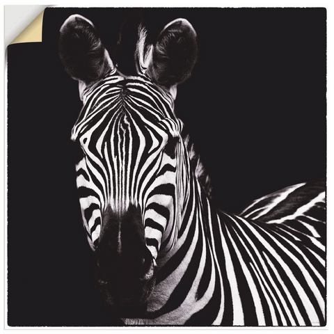 Artland artprint Zebra II