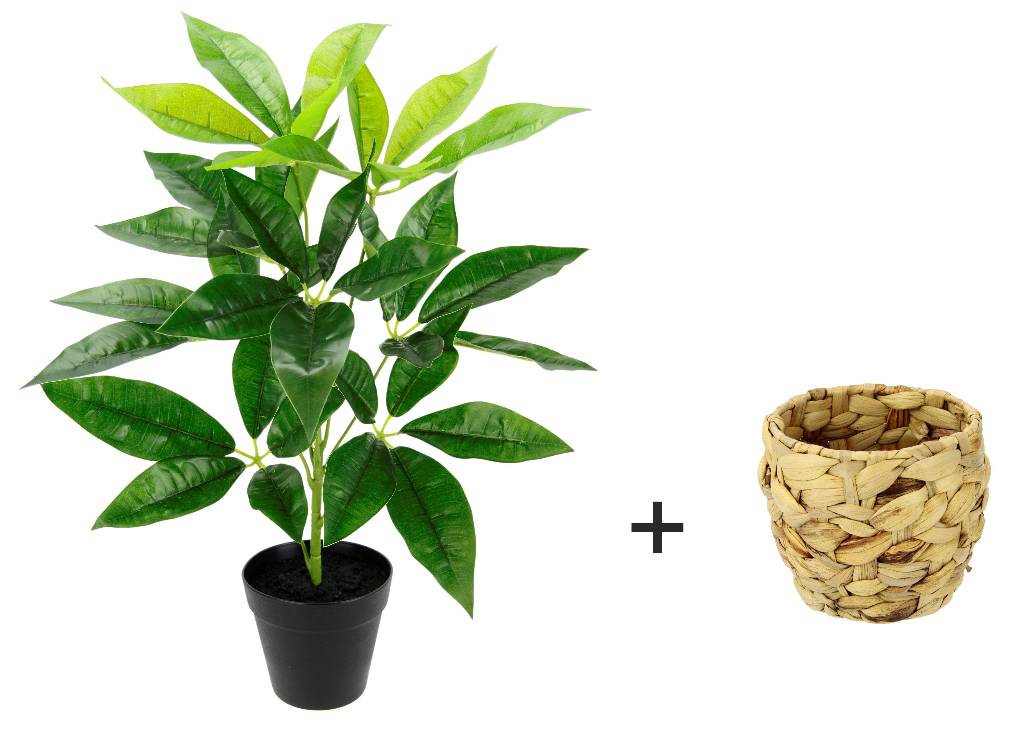 I.GE.A. Kunstplant Schefflera Met overpot kunstmatige zijdebloemen