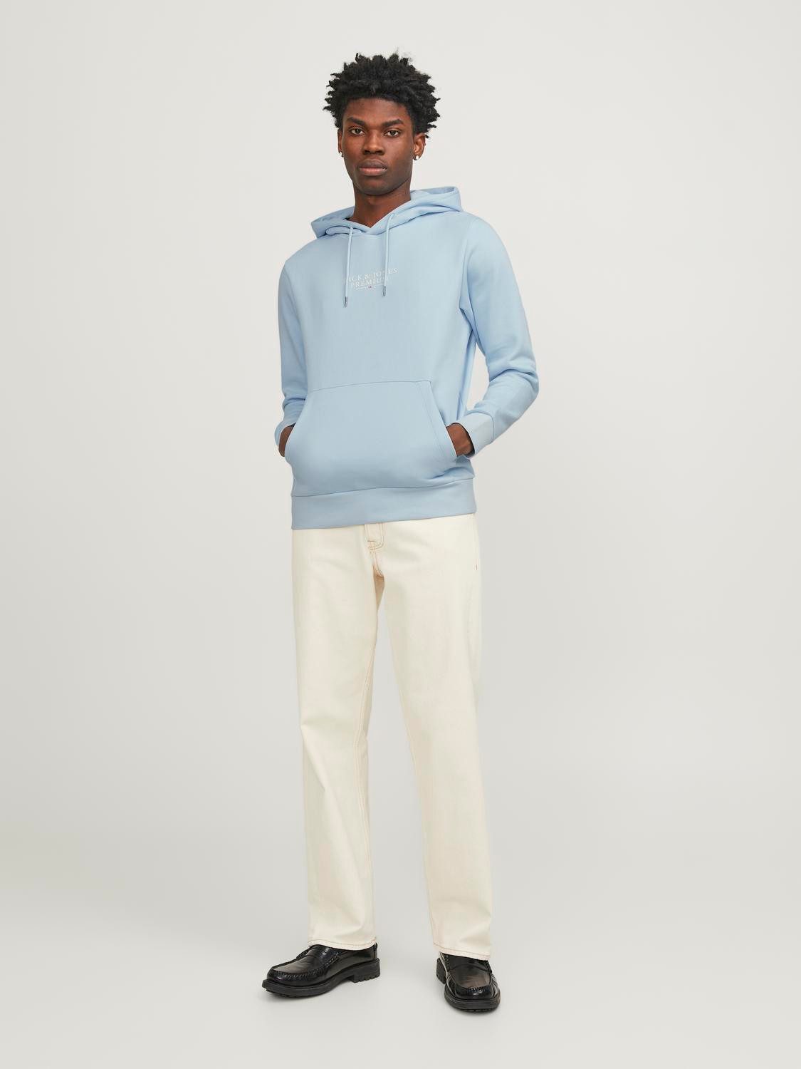 Jack & Jones Hoodie JPRBLUARCHIE SWEAT HOOD NOOS