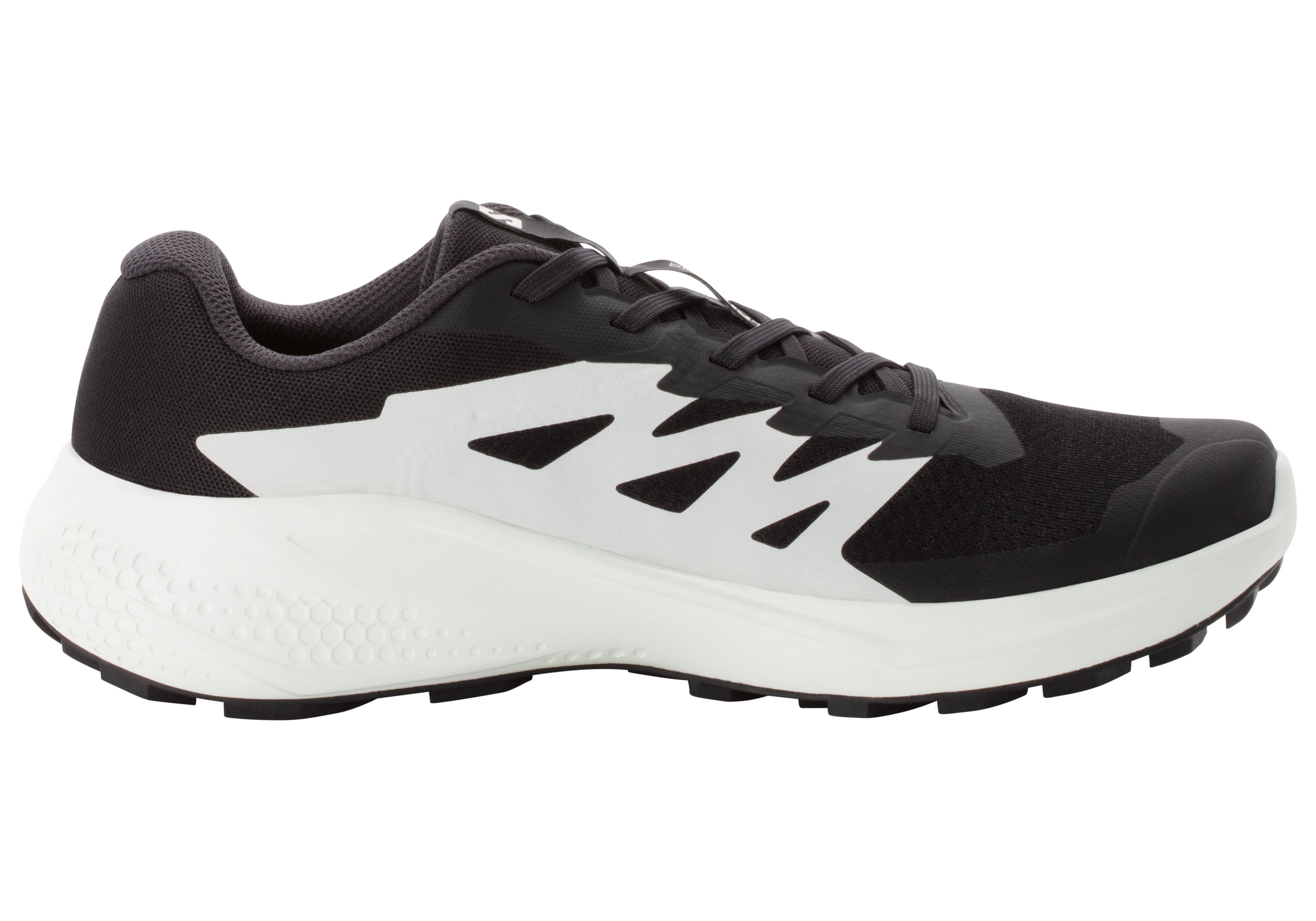 Salomon Trailrunningschoenen ALPHAGLIDE