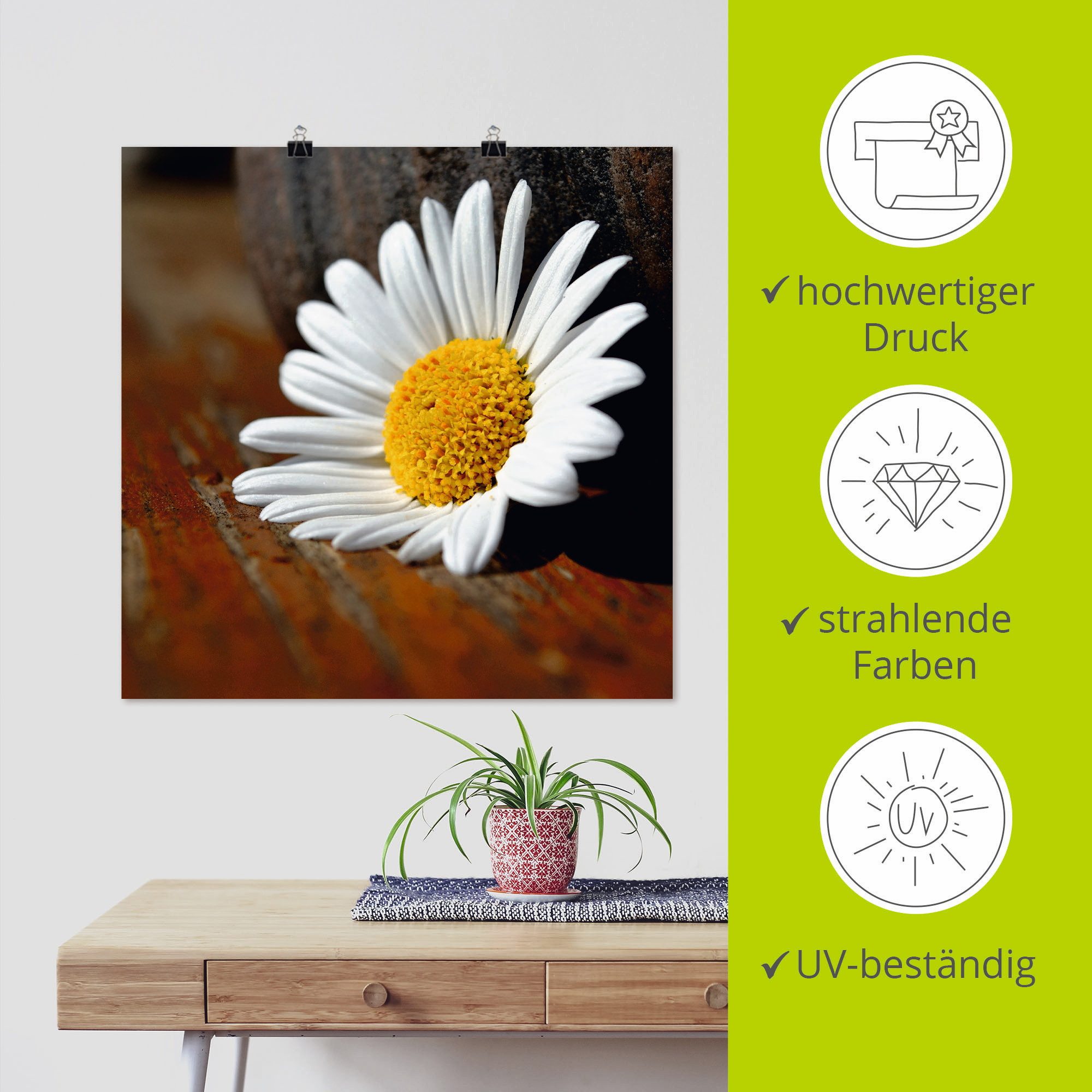 Artland Poster Margrieten stilleven als artprint op linnen, muursticker of poster in verschillende maten