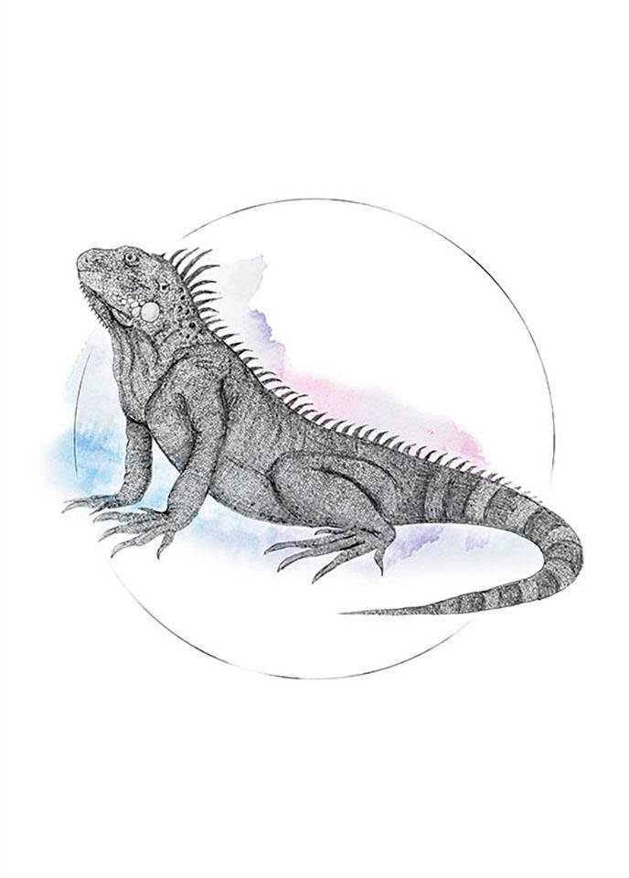 Komar Wanddecoratie Iguana Watercolor Wanddecoratie - zonder lijst