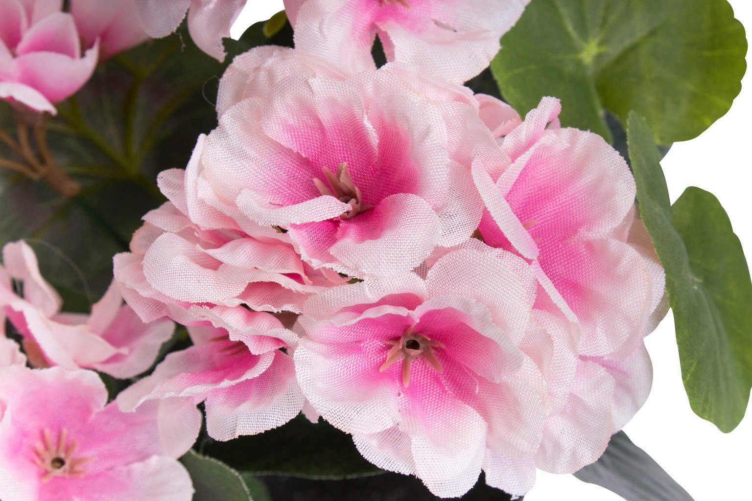 Botanic-Haus Kunstbloem Geranium met 6 stelen (1 stuk)
