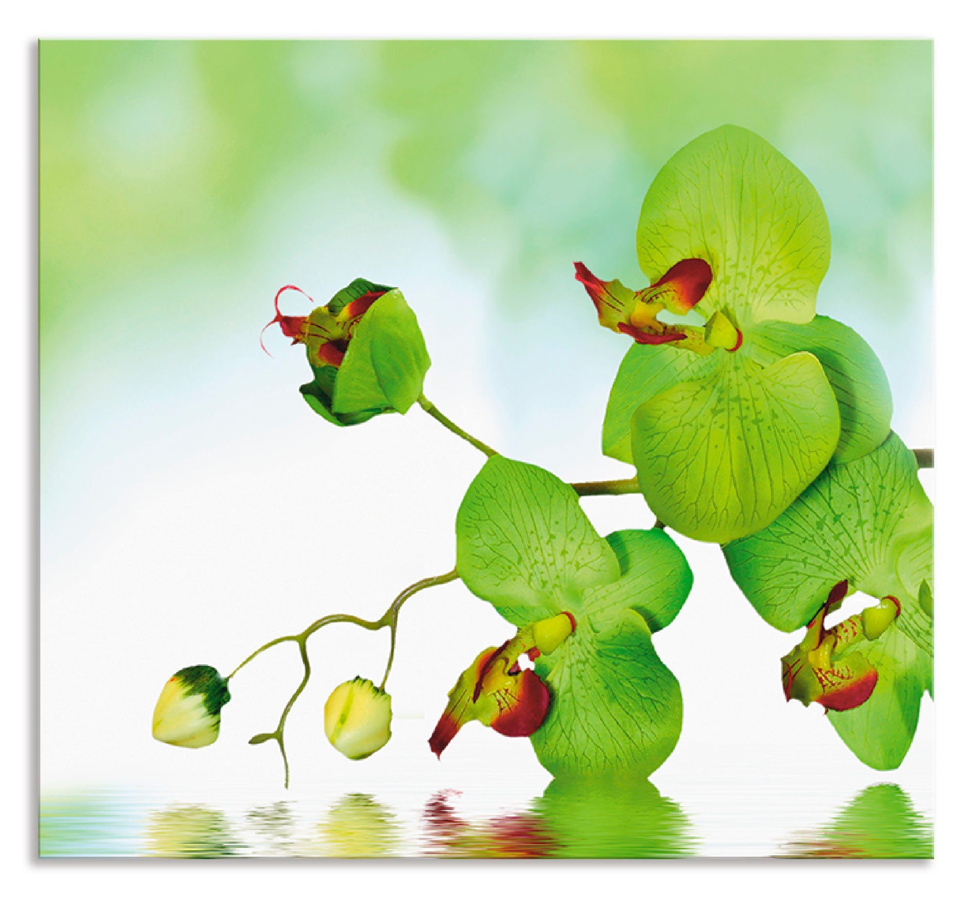 Artland Keukenwand Mooie orchidee met groene achtergrond zelfklevend in vele maten - spatscherm keuken achter kookplaat en spoelbak als wandbescherming tegen vet, water en vuil - a