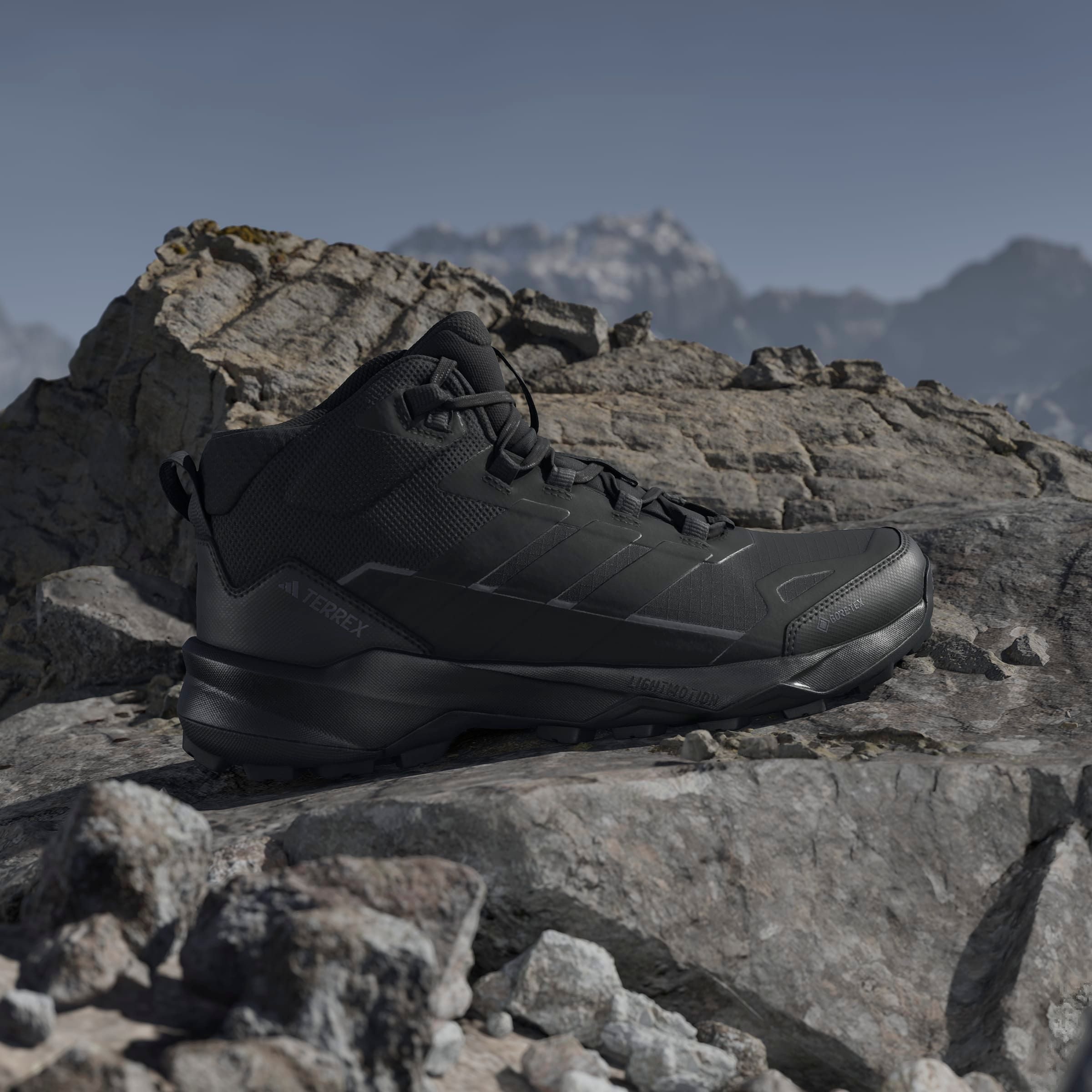 adidas TERREX Wandelschoenen TERREX SKYCHASER AX5 MID GORE-TEX E.