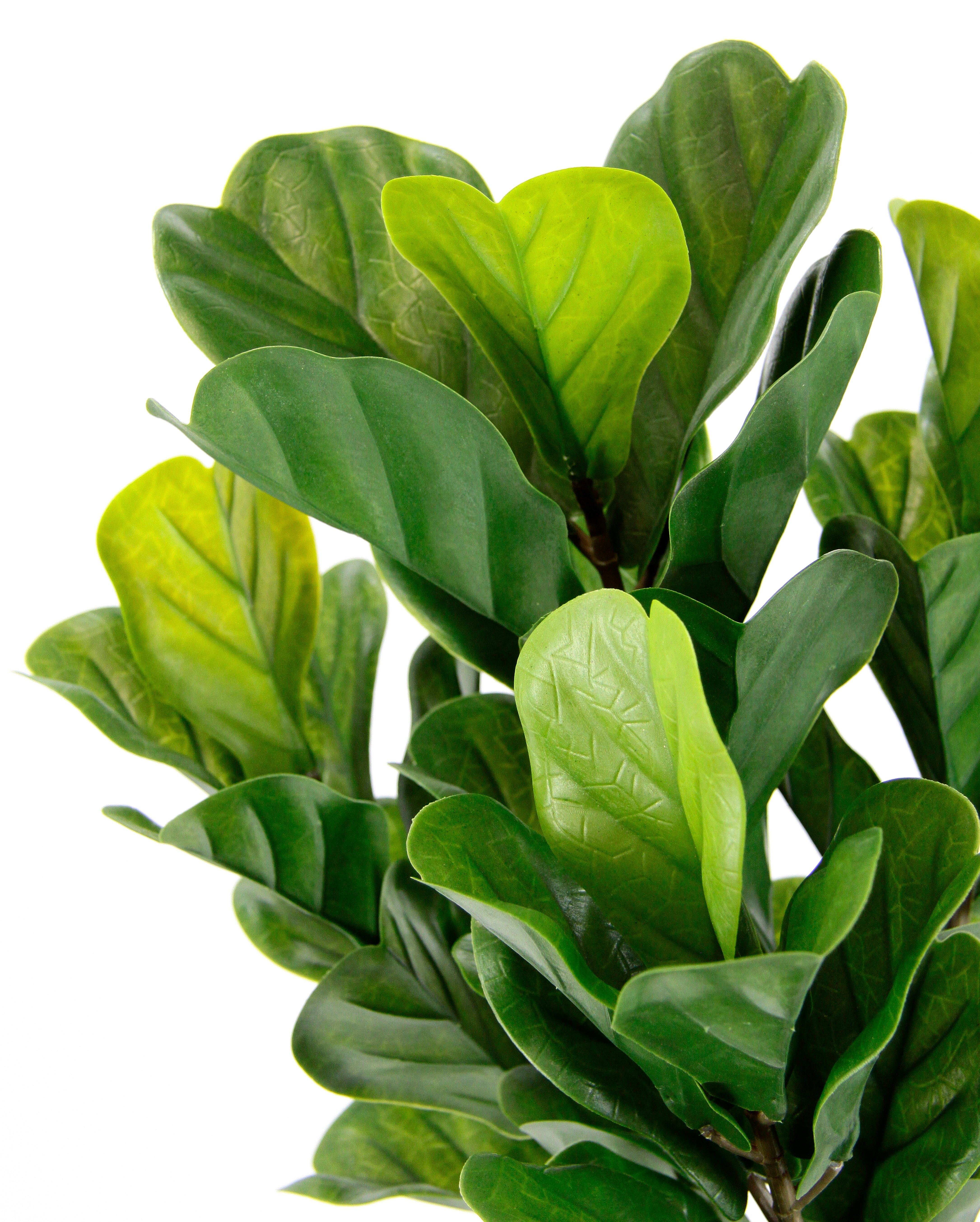 I.GE.A. Kunstboom Tabaksboom in pot kunstmatig vioolblad vijgenboom vijgenbladplant Olifantenboom, boom, kamerplant, kunstplant, plant, decoratieve plant (1 stuk)