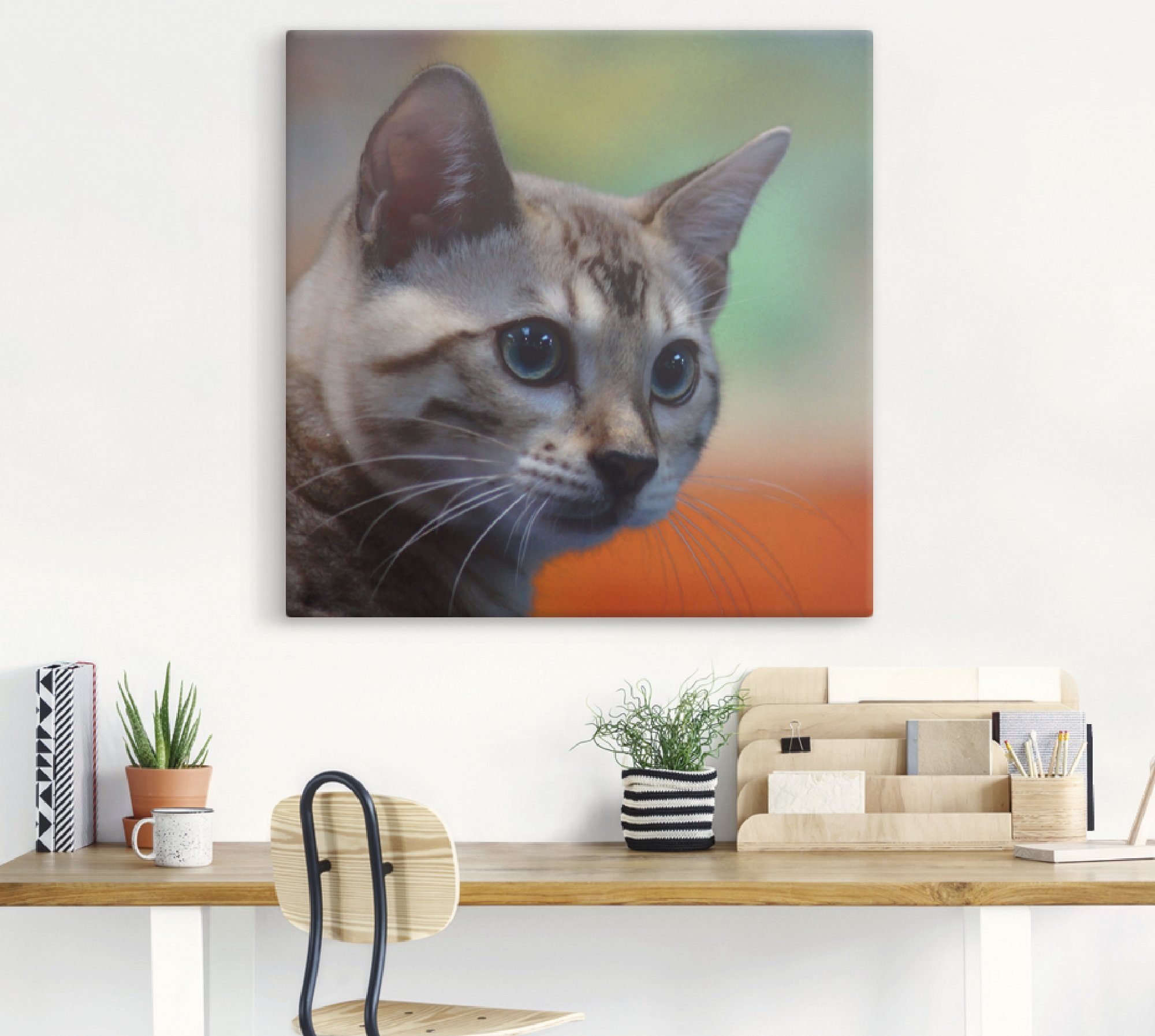 Artland Artprint Witte Bengaalse kat als artprint van aluminium, artprint op linnen, muursticker of poster in verschillende maten