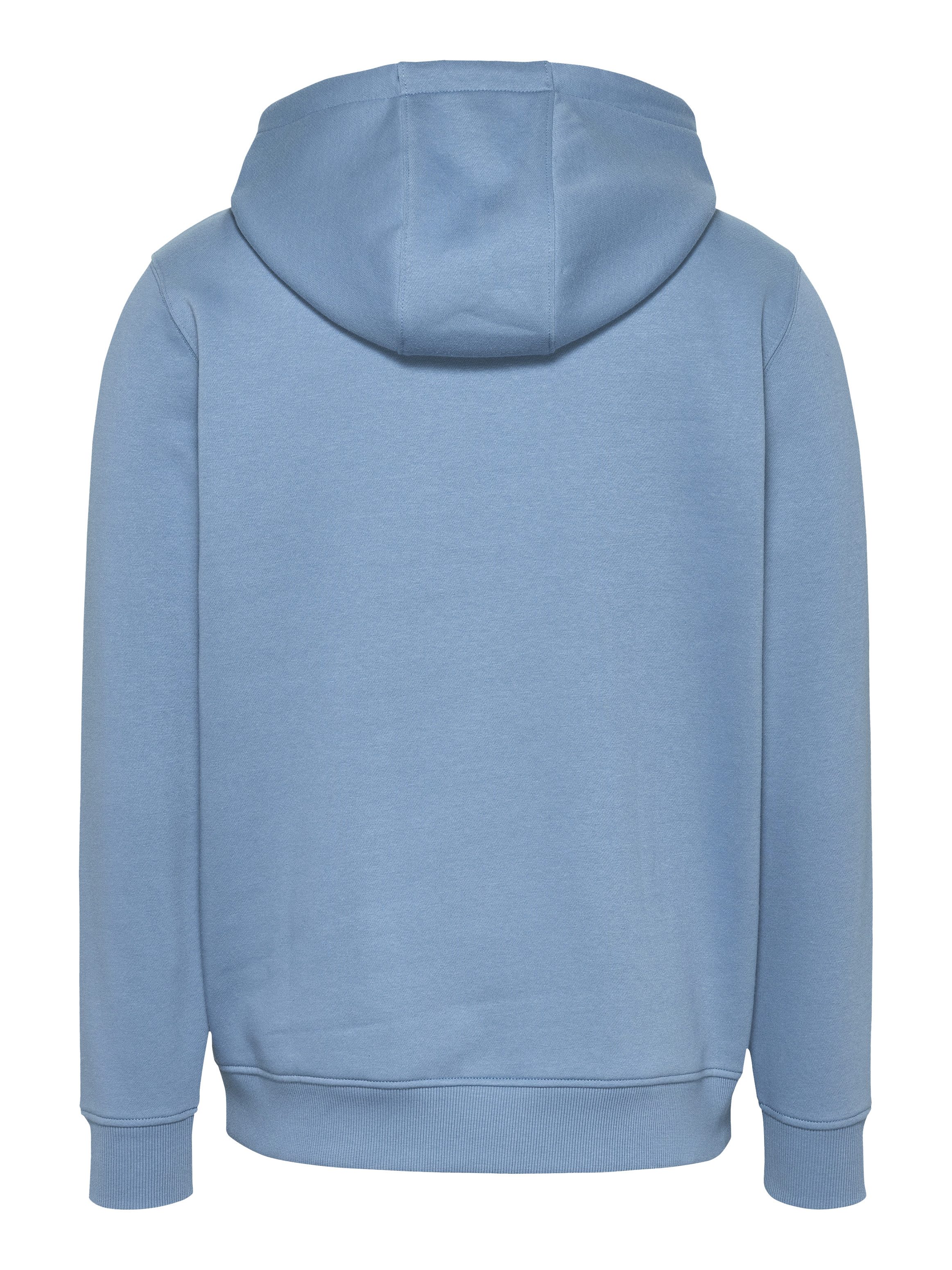 TOMMY JEANS Sweatshirt TJM REG S FLAG HOODIE met geborduurd merklogo op borsthoogte