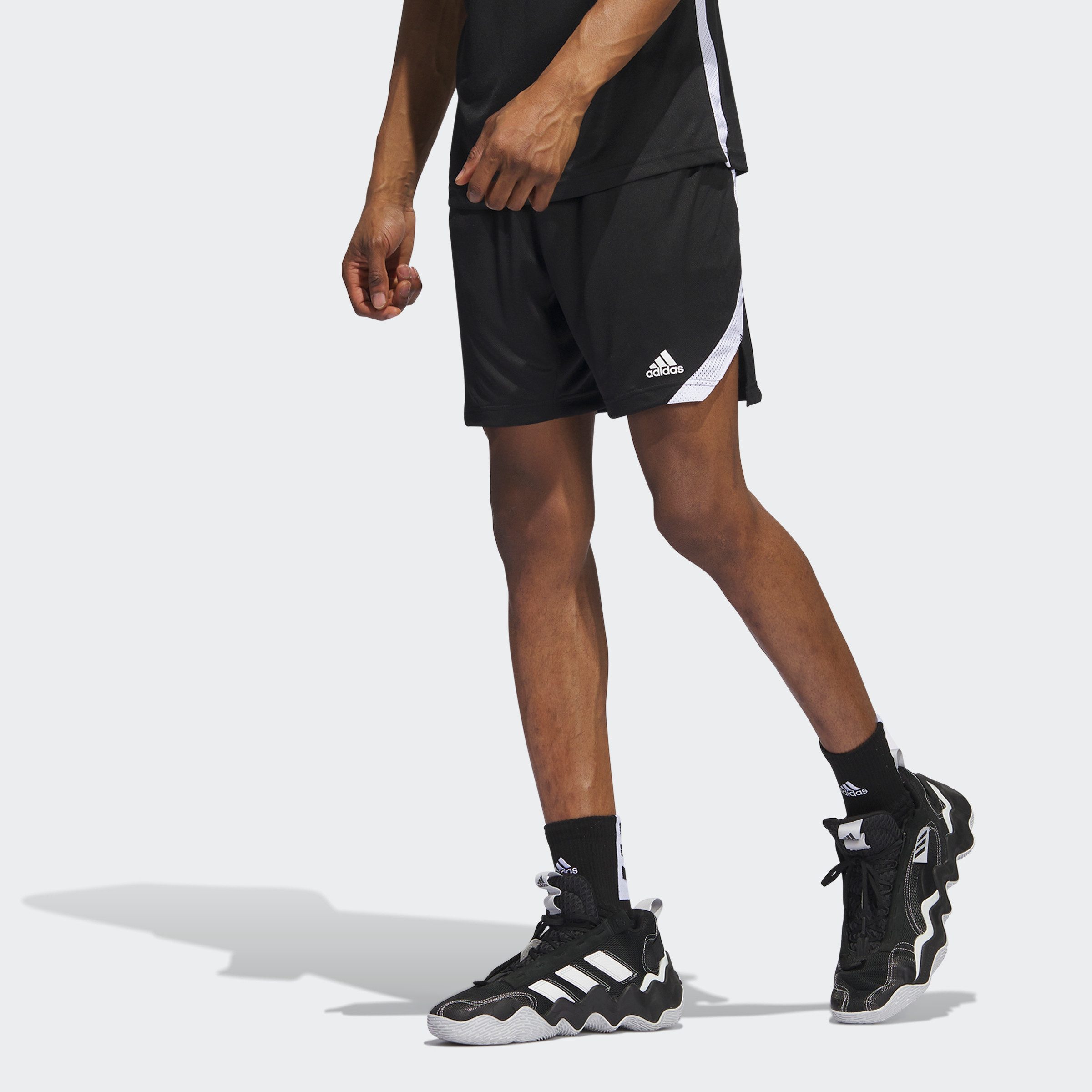 adidas Performance Trainingsshort M ICON SQUAD S (1-delig) heren sportshorts maat XXXL zwart