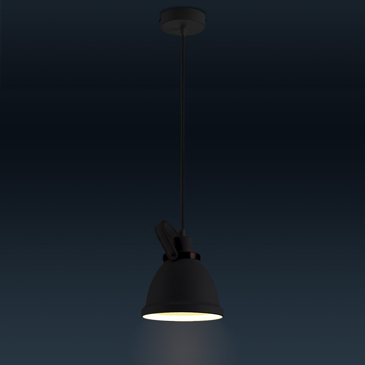 Paco Home Hanglamp INKA S