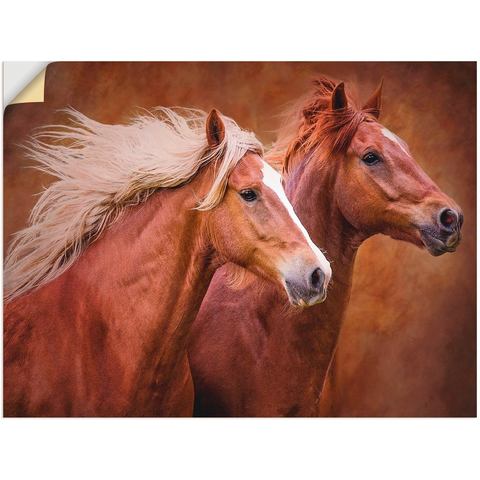 Artland artprint Reinrassige Pferde I
