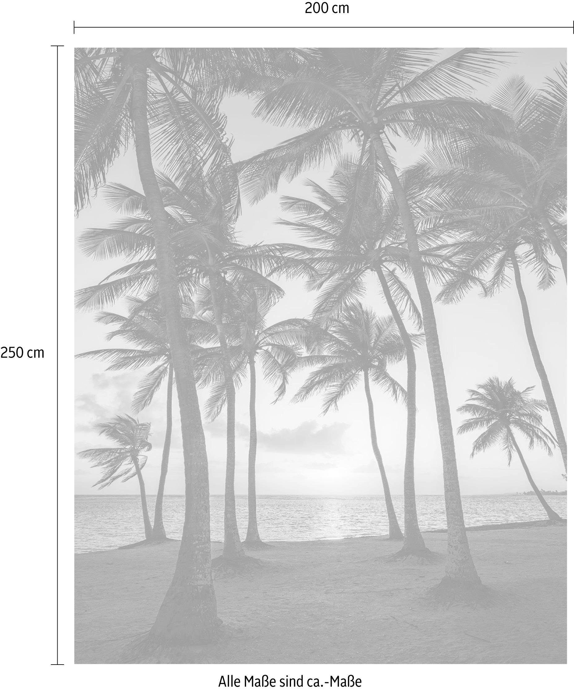 Komar Vliesbehang Digitale print vlies - Palmtrees on Beach - Afmeting 200 x 250 cm (1 stuk)