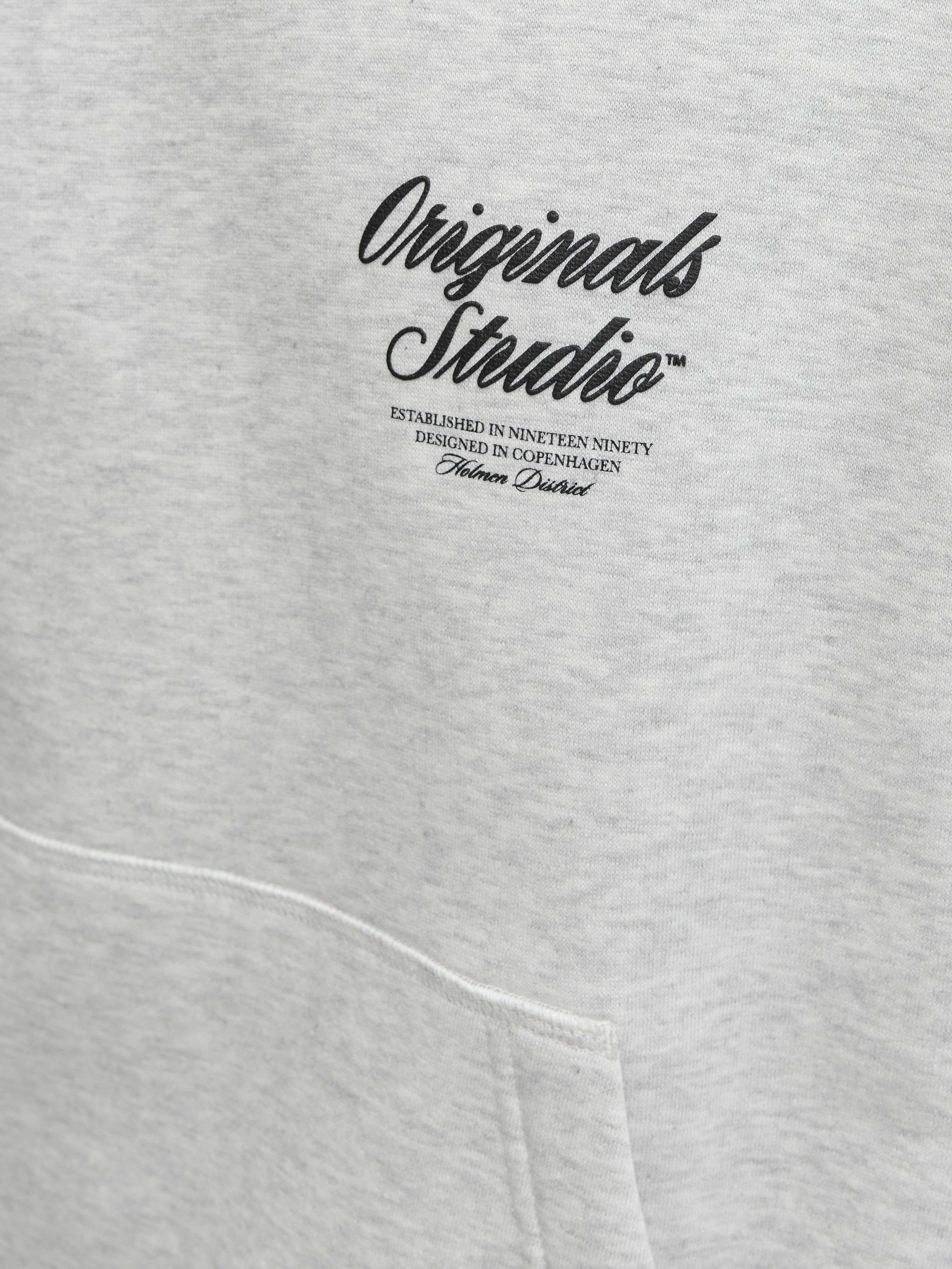 Jack & Jones Hoodie JORNORREBRO TYPO BACK SWEAT HOOD SN
