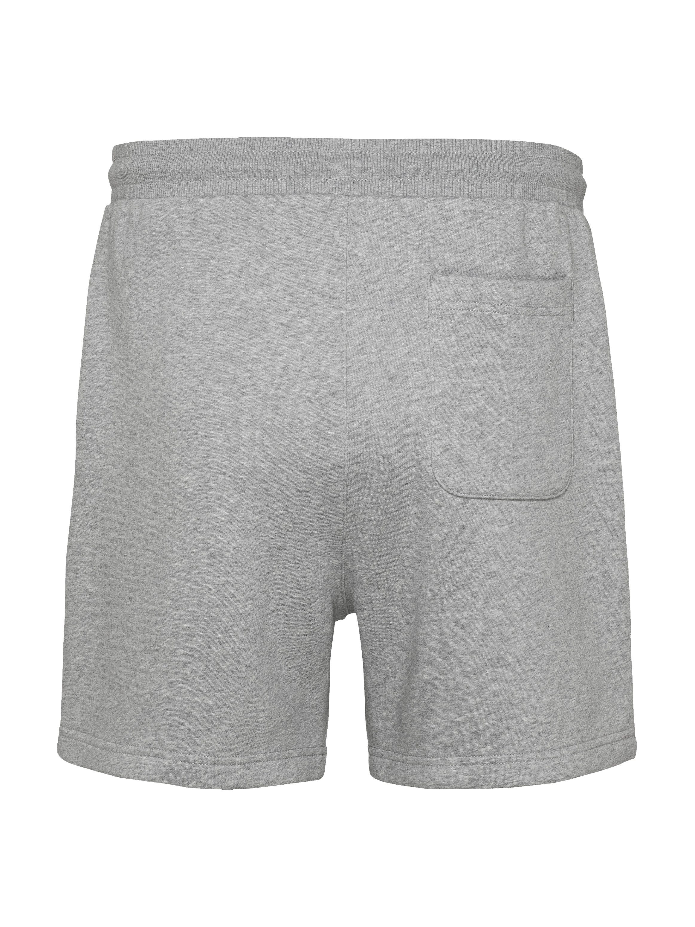 TOMMY JEANS Sweatshort TJM S FLAG BEACH SHORT EXT