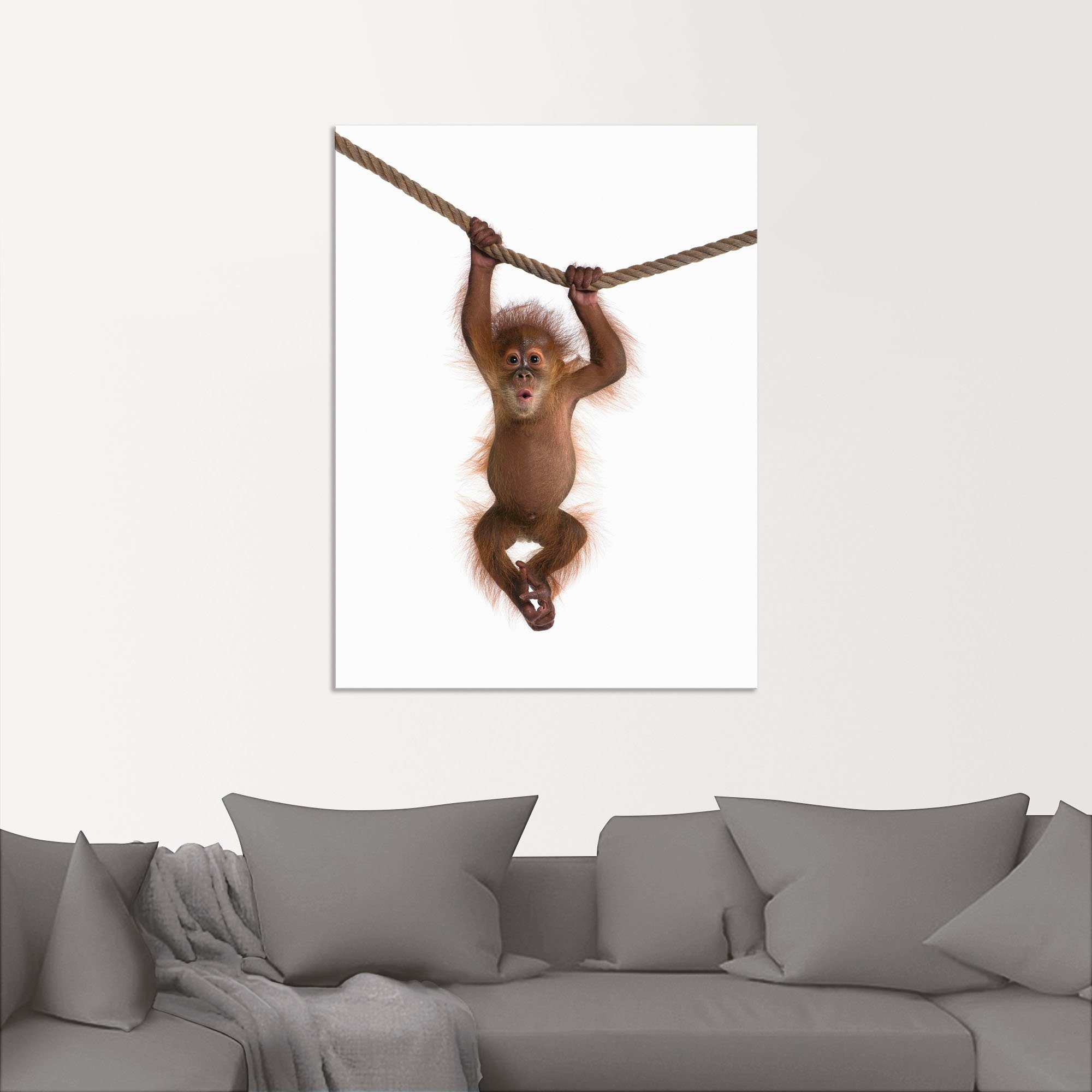 Artland Artprint Baby orang oetan hangt aan het touw II als artprint van aluminium, artprint voor buiten, artprint op linnen, poster, muursticker